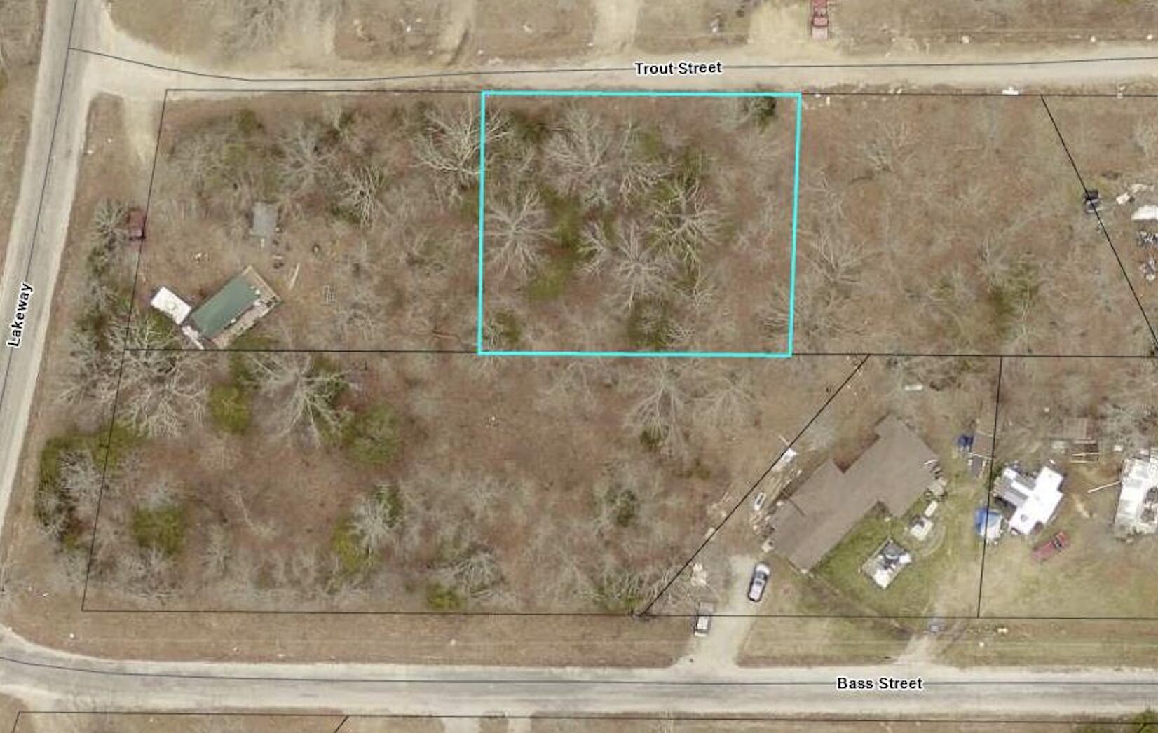 Photo 2 - Land for sale – 140  Trout Street  Kissee Mills, MO
