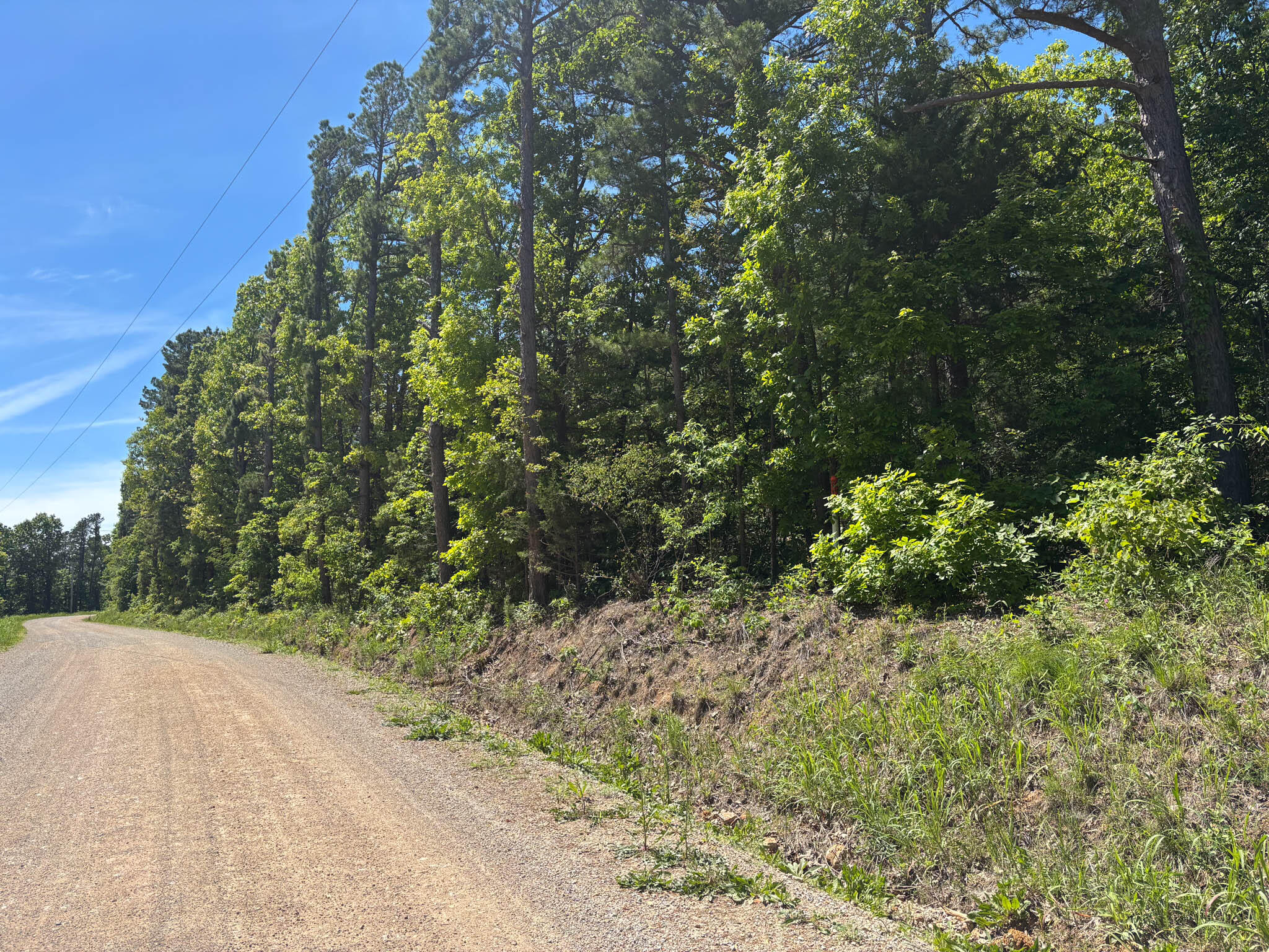 Land for sale – Tbd  County Road 154   Brixey, MO