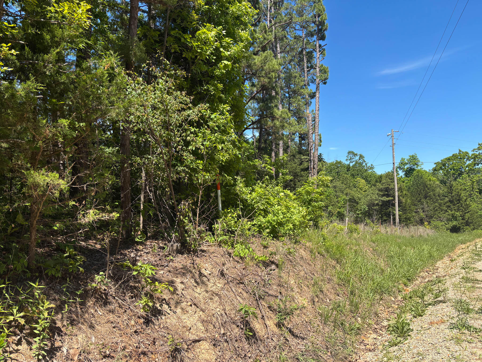 Photo 9 - Land for sale – Tbd  County Road 154   Brixey, MO