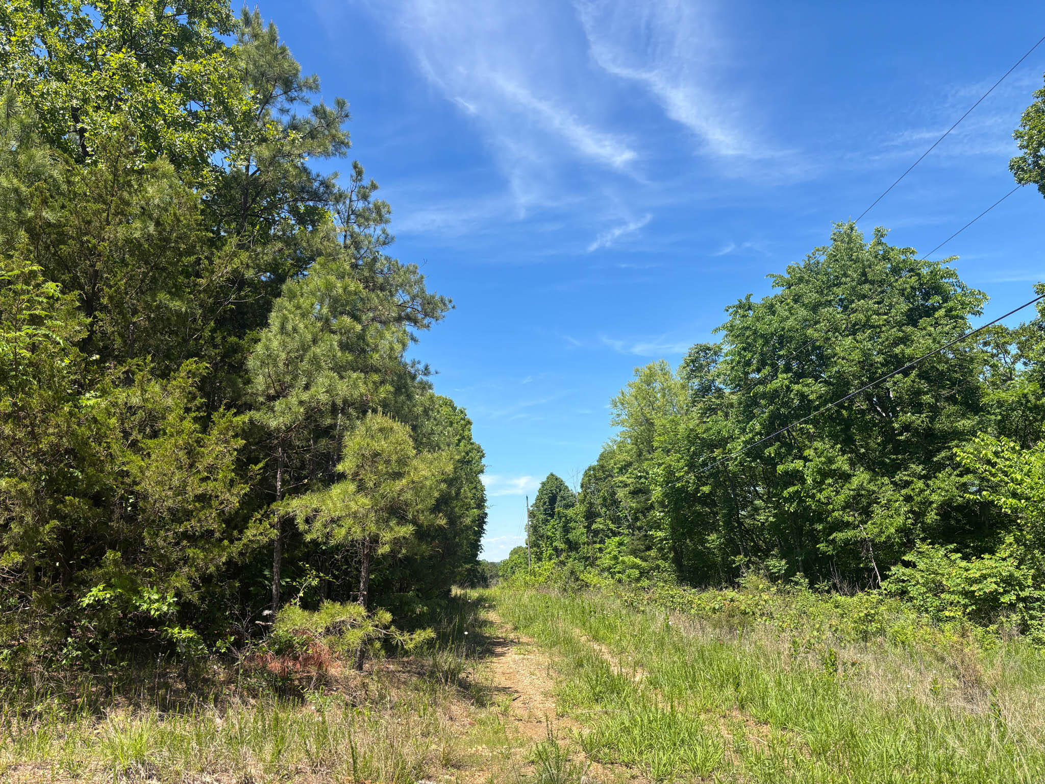 Photo 2 - Land for sale – Tbd  County Road 154   Brixey, MO