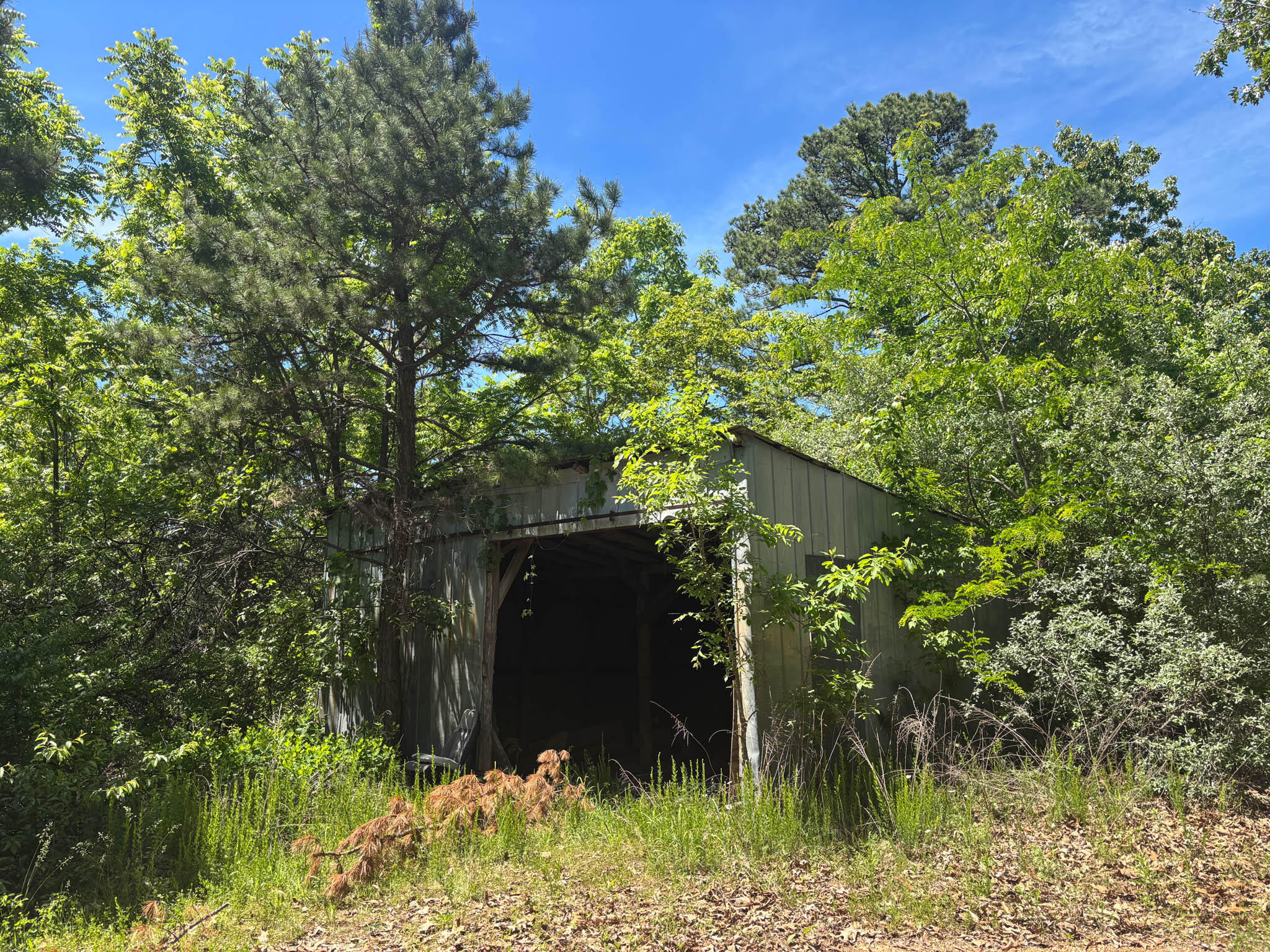 Photo 4 - Land for sale – Tbd  County Road 154   Brixey, MO