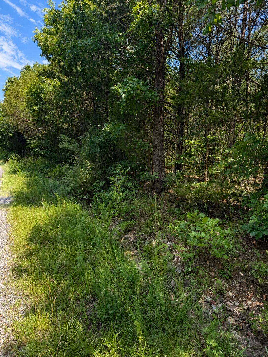 Photo 2 - Land for sale – 000  Falling Rock Road  Elkland, MO