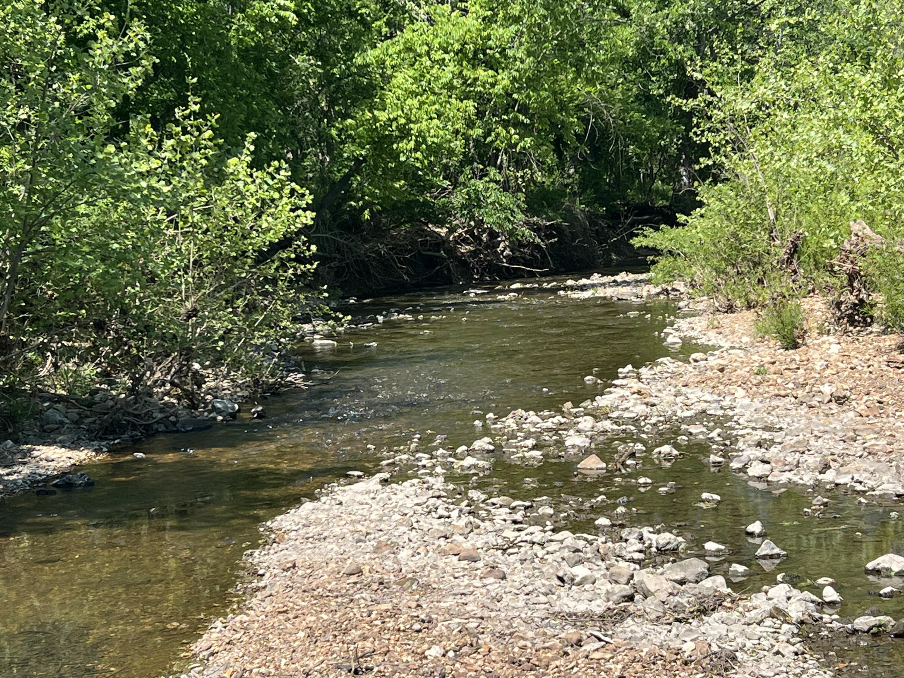 Photo 8 - Land for sale – 3305 S 25th Road  Humansville, MO
