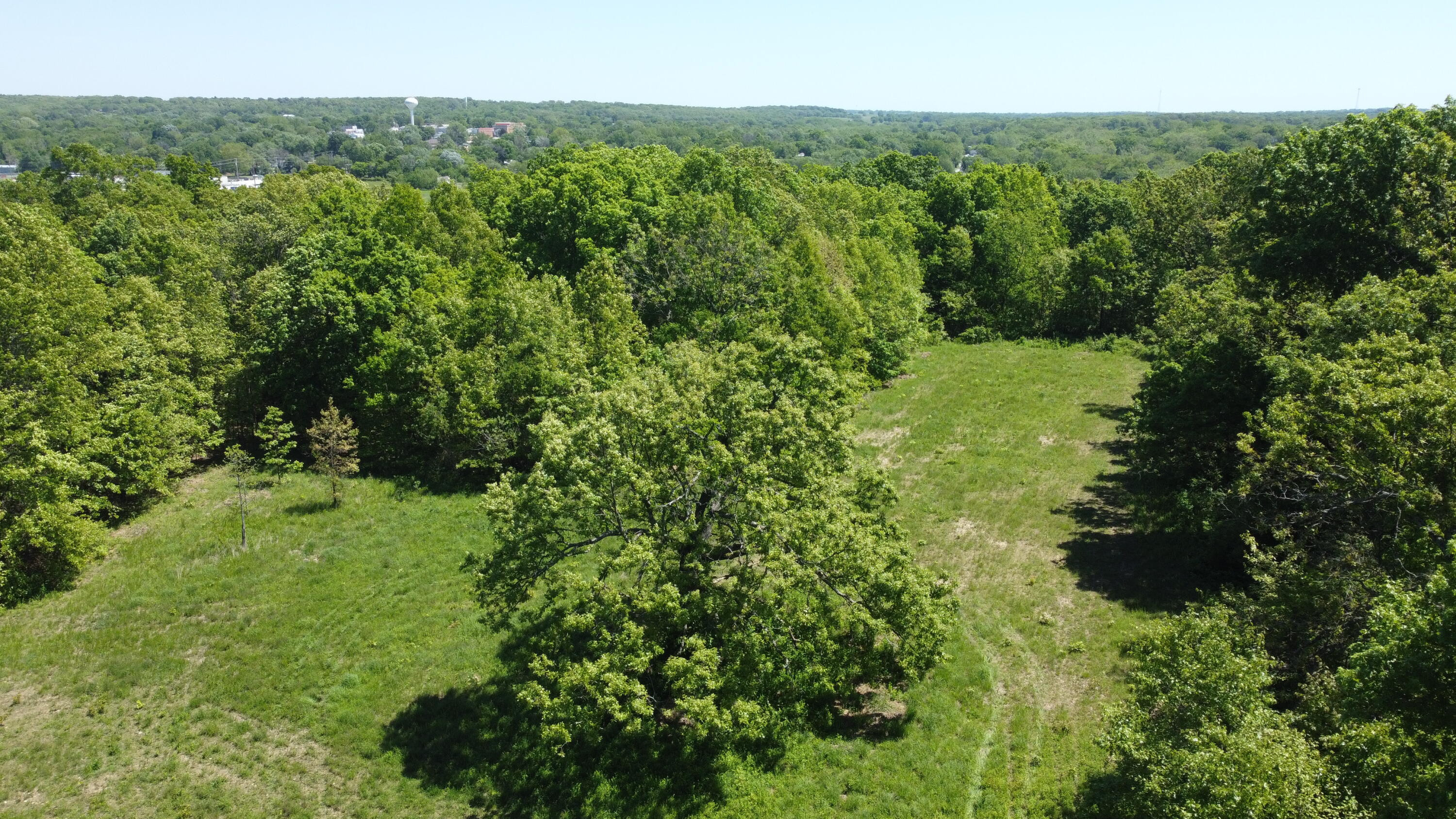 Photo 5 - Land for sale – 3305 S 25th Road  Humansville, MO