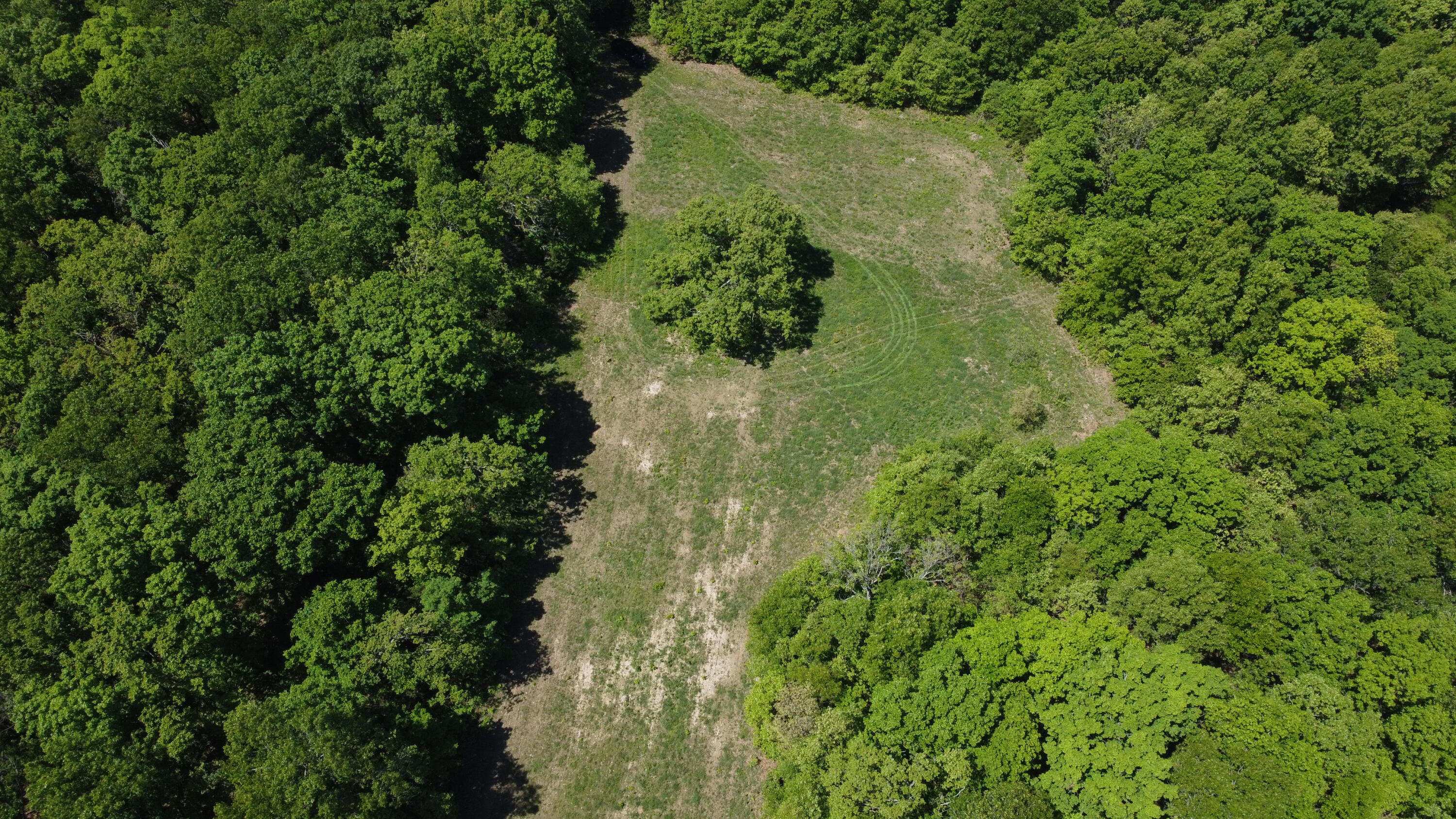 Photo 6 - Land for sale – 3305 S 25th Road  Humansville, MO