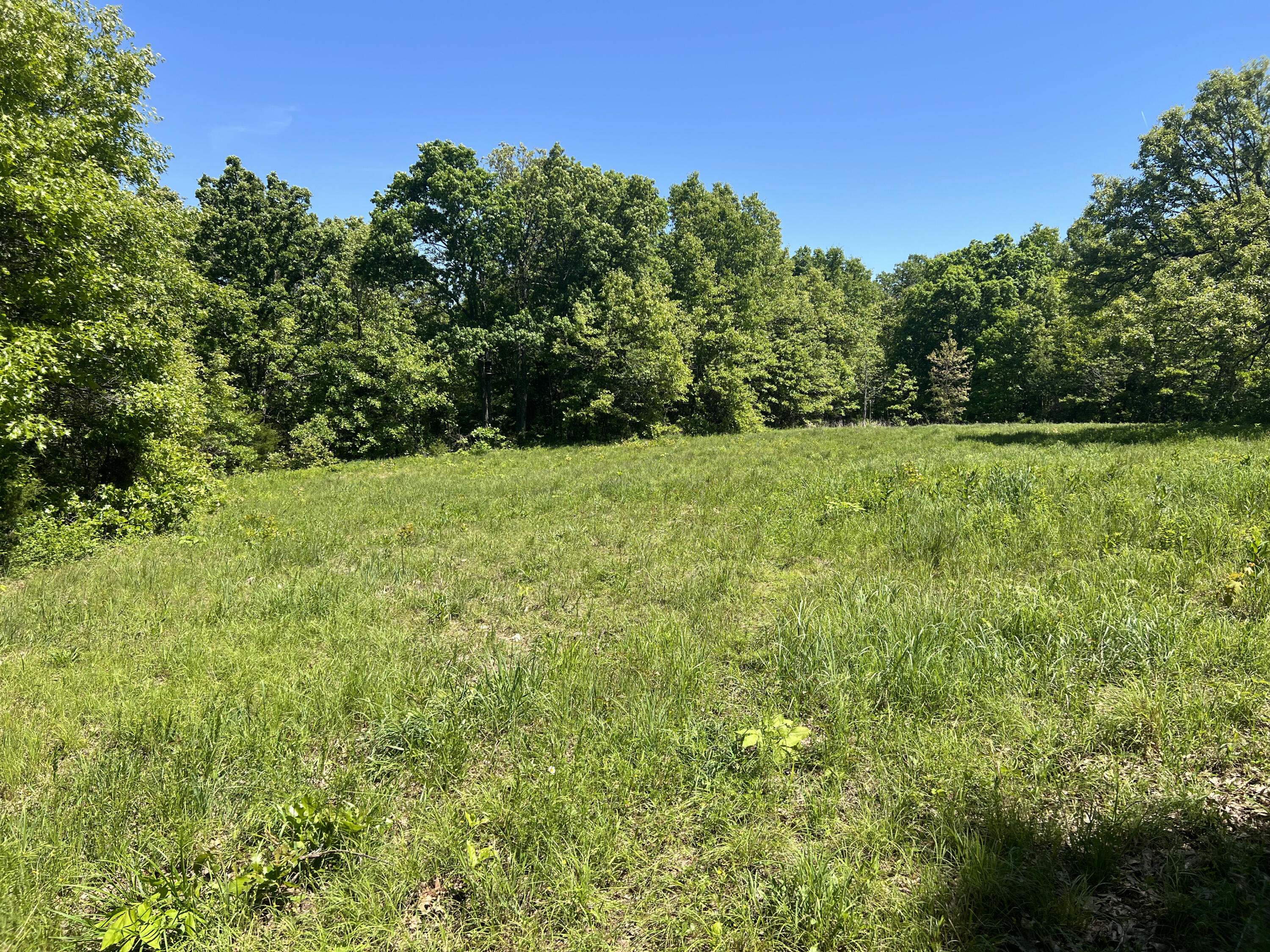Photo 4 - Land for sale – 3305 S 25th Road  Humansville, MO