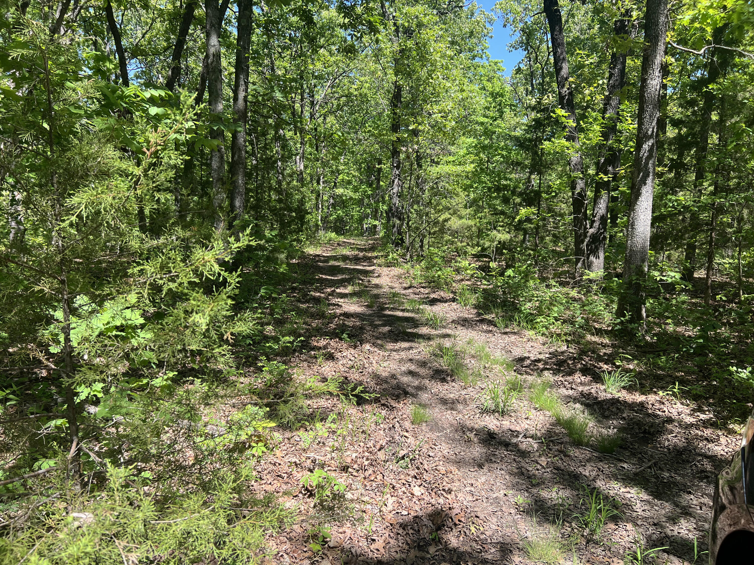 Photo 2 - Land for sale – 3305 S 25th Road  Humansville, MO