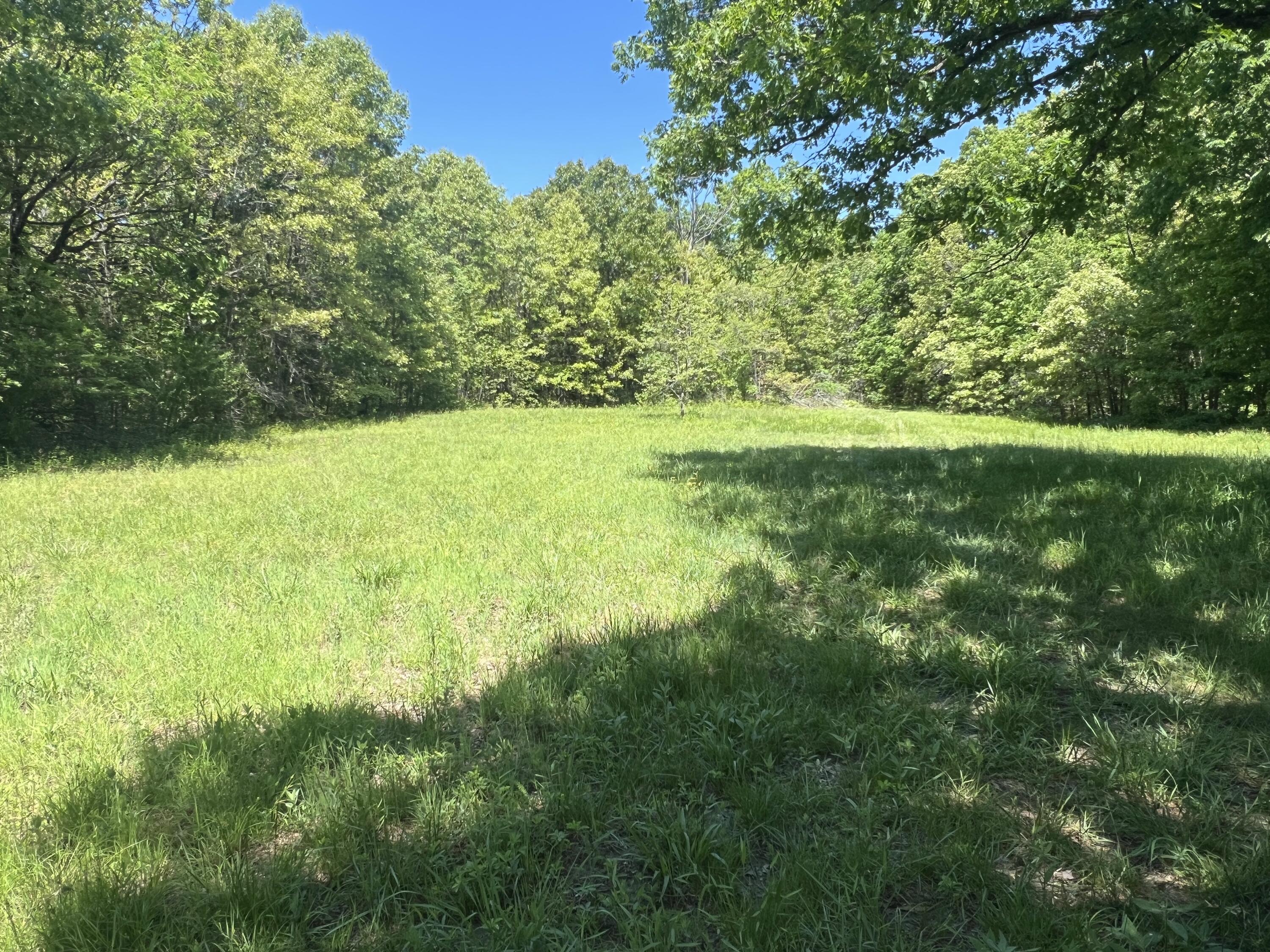 Land for sale – 3305 S 25th Road  Humansville, MO