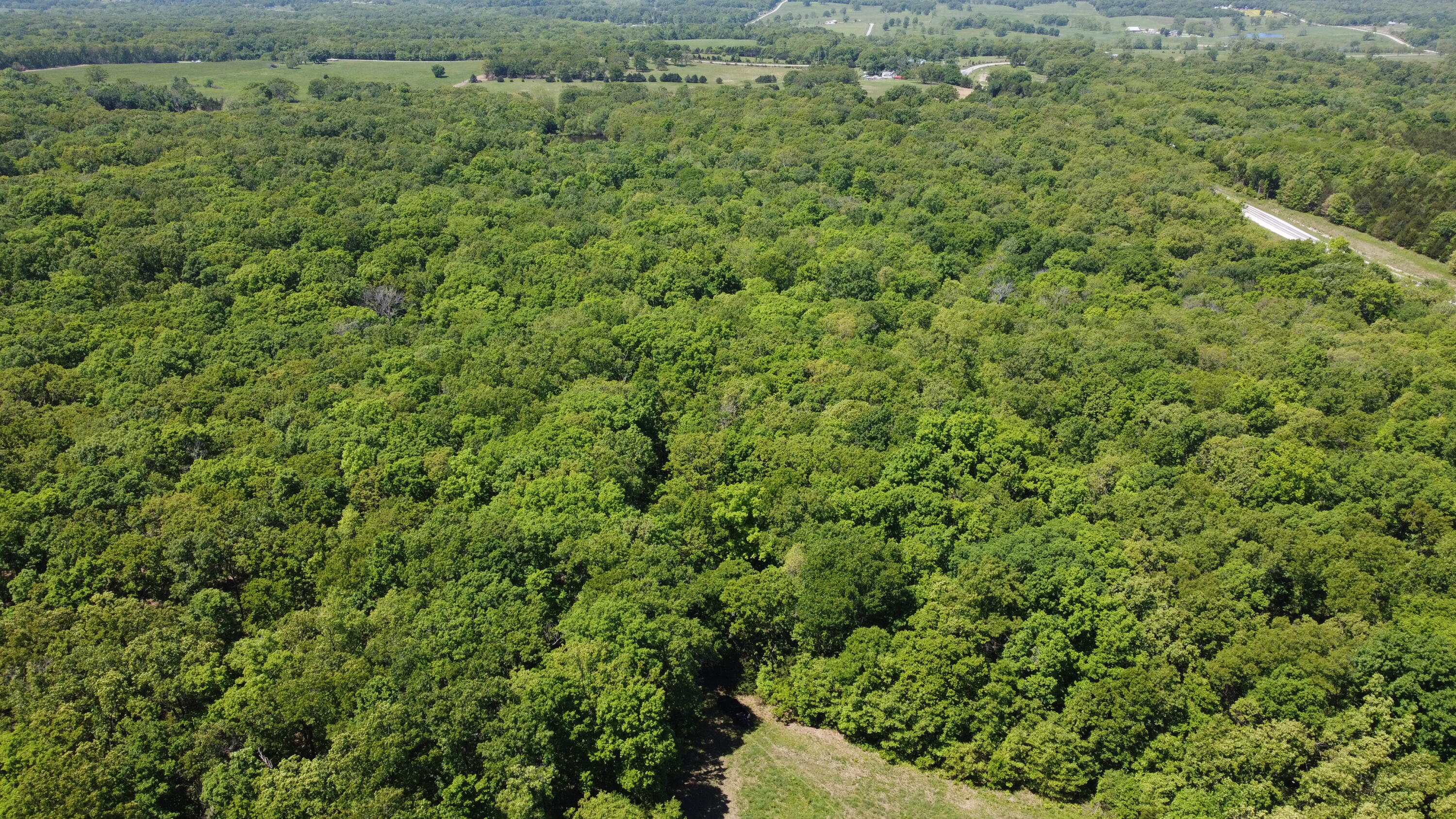Photo 7 - Land for sale – 3305 S 25th Road  Humansville, MO