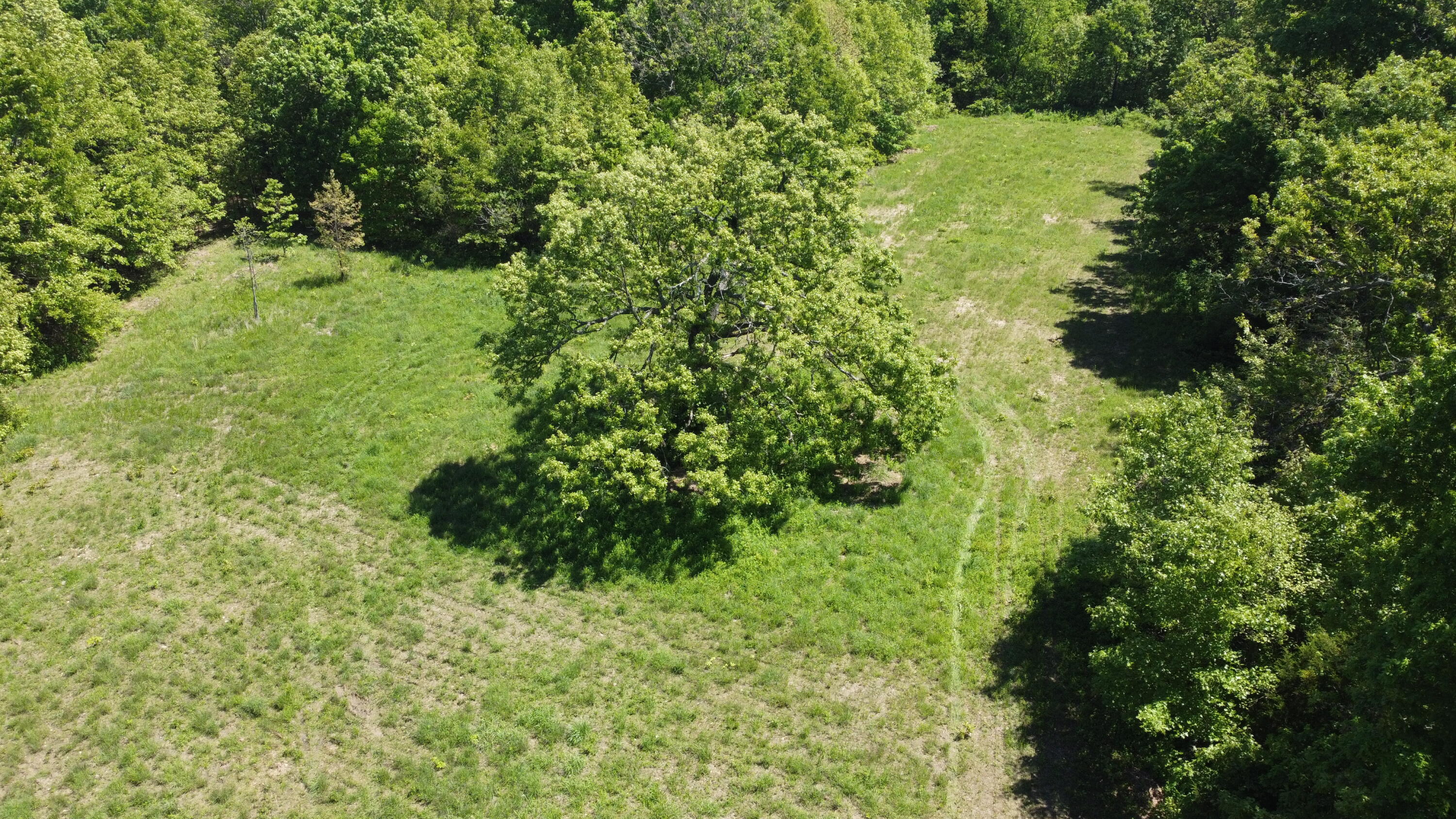 Photo 3 - Land for sale – 3305 S 25th Road  Humansville, MO
