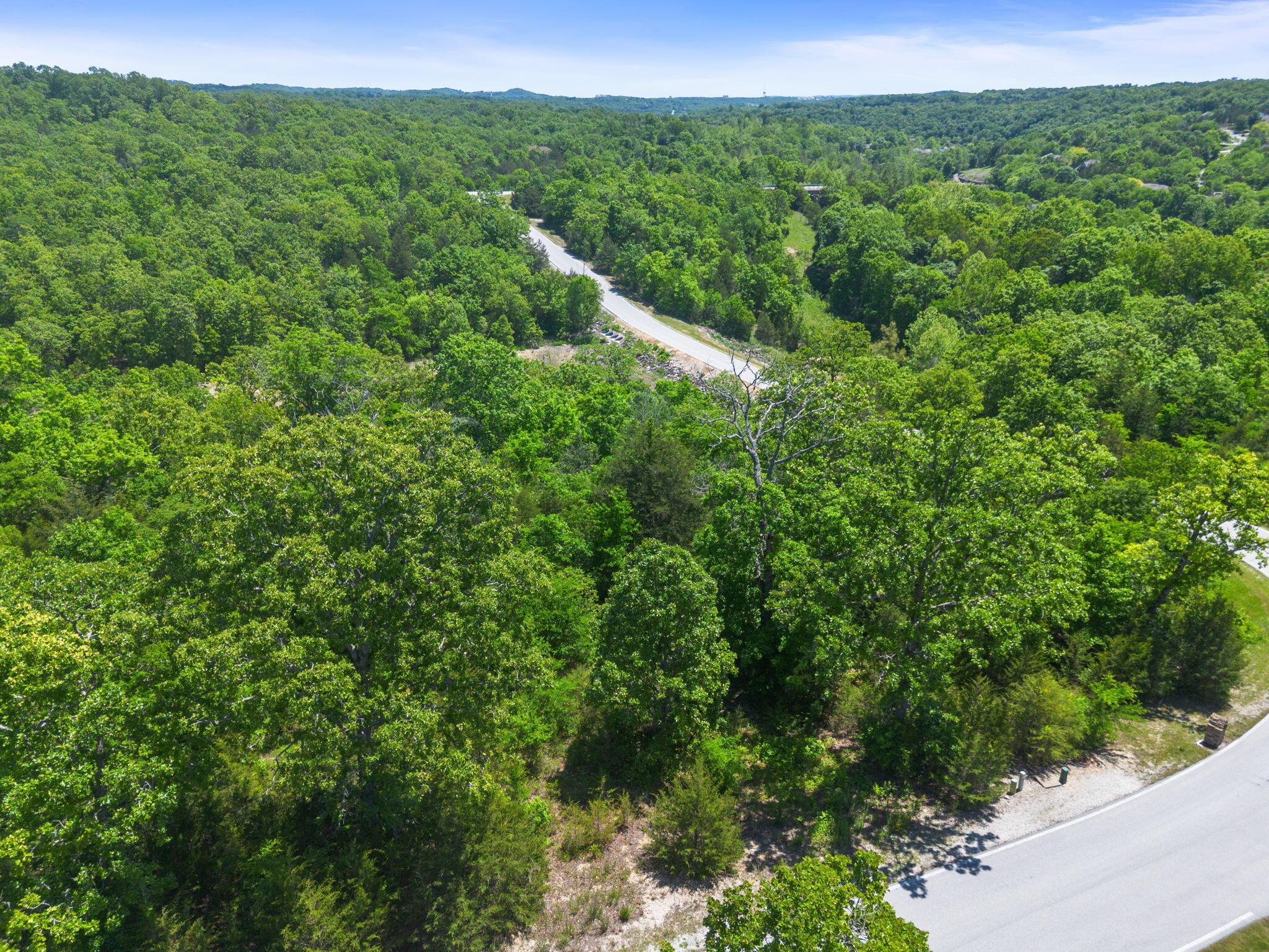 Photo 9 - Land for sale – Lot 134  Beechwood Drive  Branson West, MO