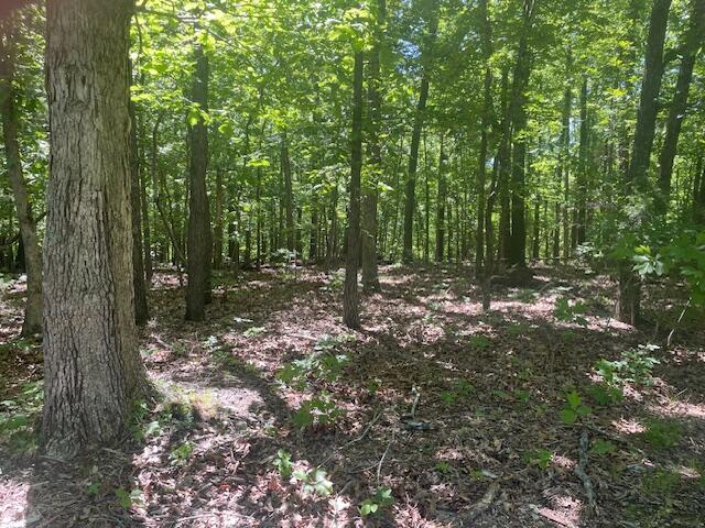 Photo 6 - Land for sale – L42a & 43a  Eaglecrest Road  Cape Fair, MO