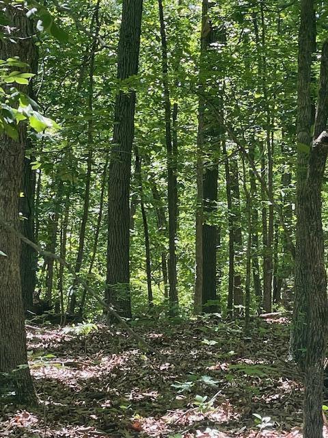 Photo 4 - Land for sale – L42a & 43a  Eaglecrest Road  Cape Fair, MO