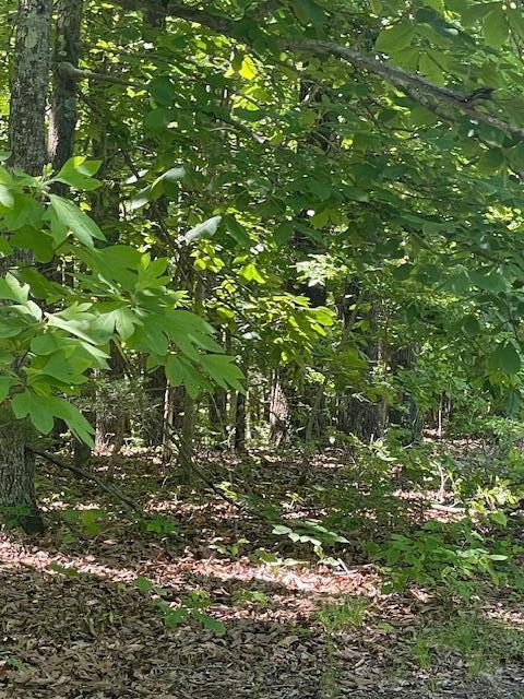 Photo 2 - Land for sale – L42a & 43a  Eaglecrest Road  Cape Fair, MO