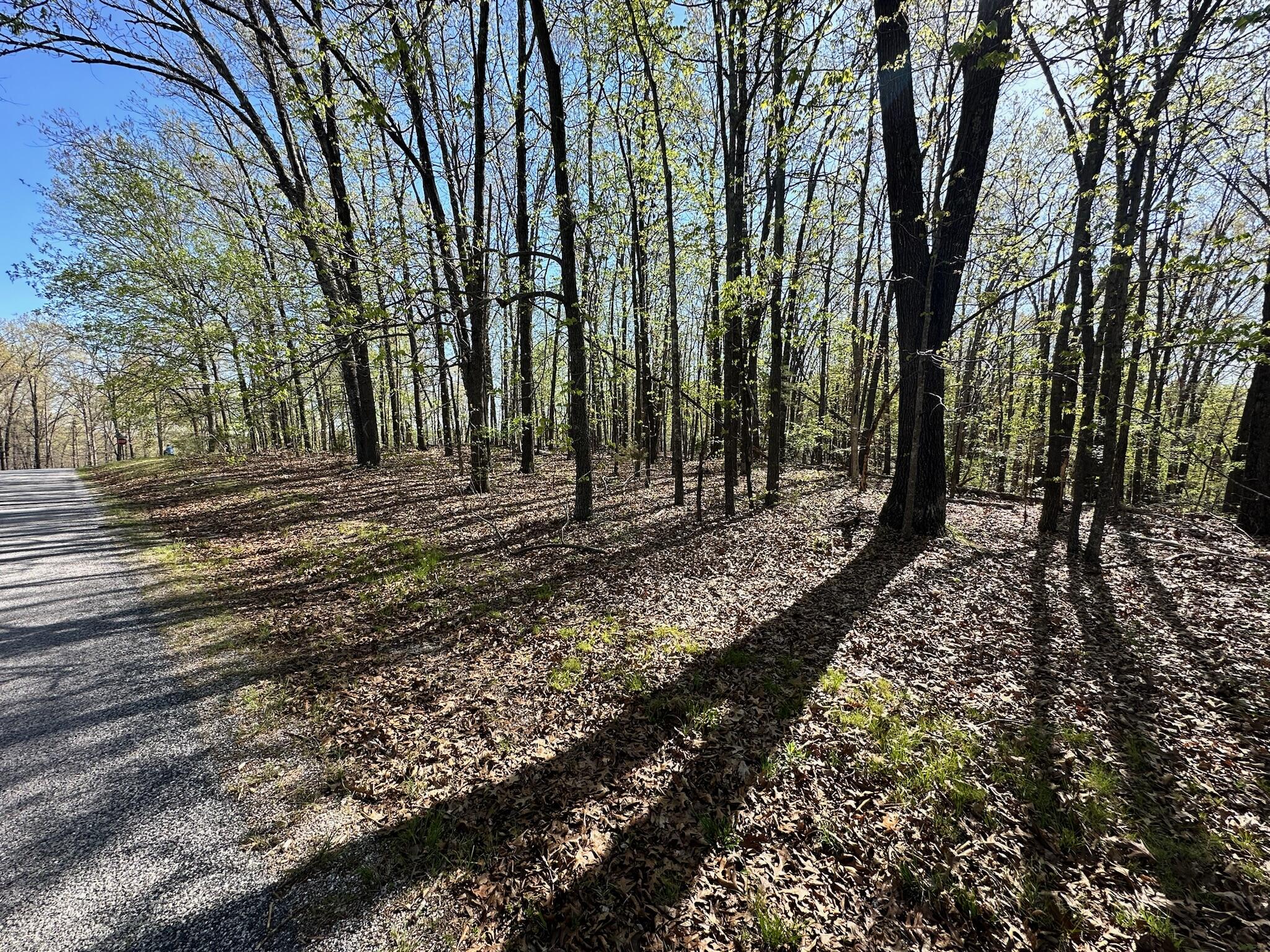 Photo 5 - Land for sale – L42a & 43a  Eaglecrest Road  Cape Fair, MO