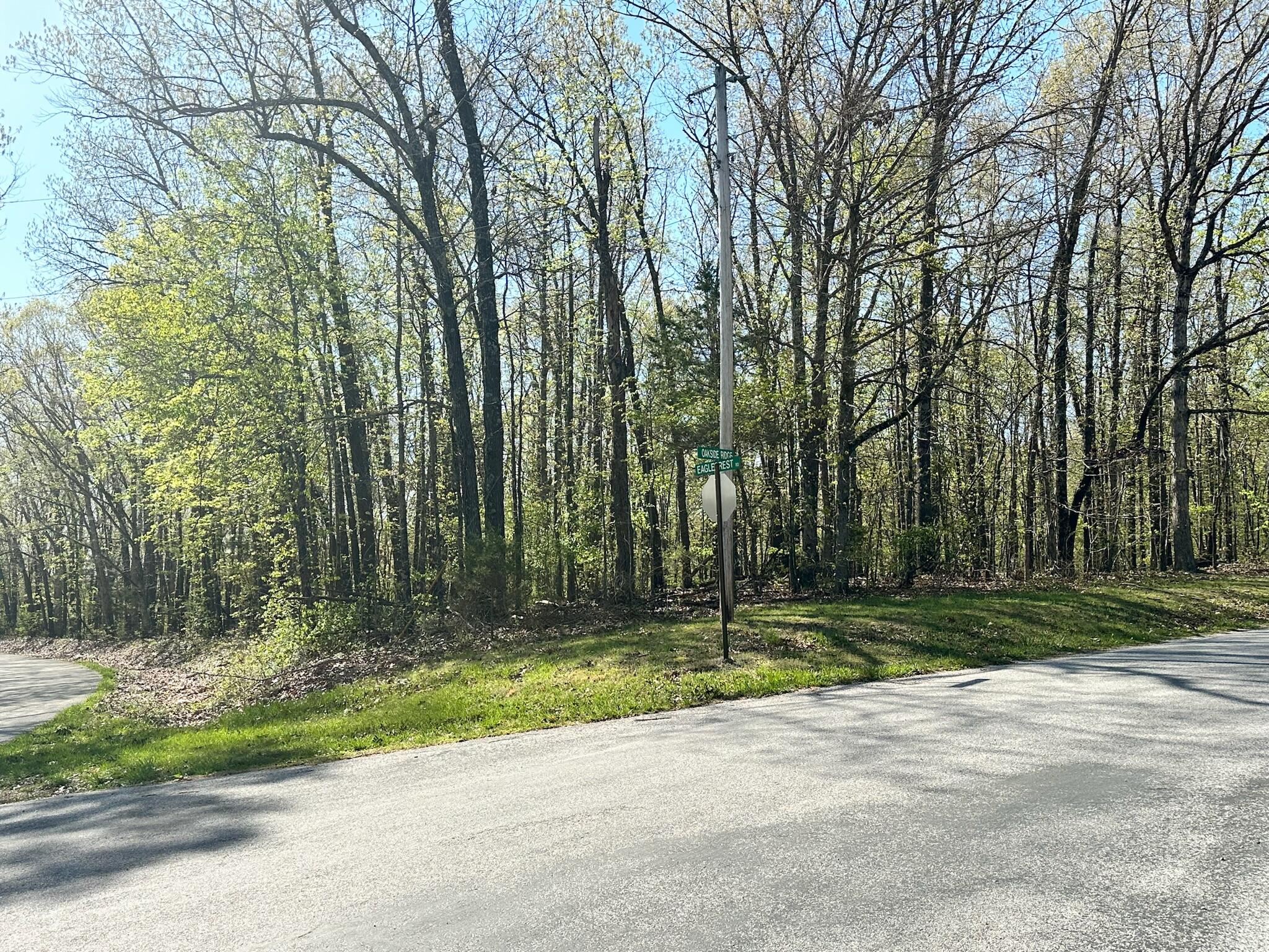 Land for sale – L42a & 43a  Eaglecrest Road  Cape Fair, MO