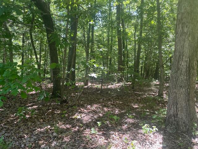 Photo 8 - Land for sale – L42a & 43a  Eaglecrest Road  Cape Fair, MO