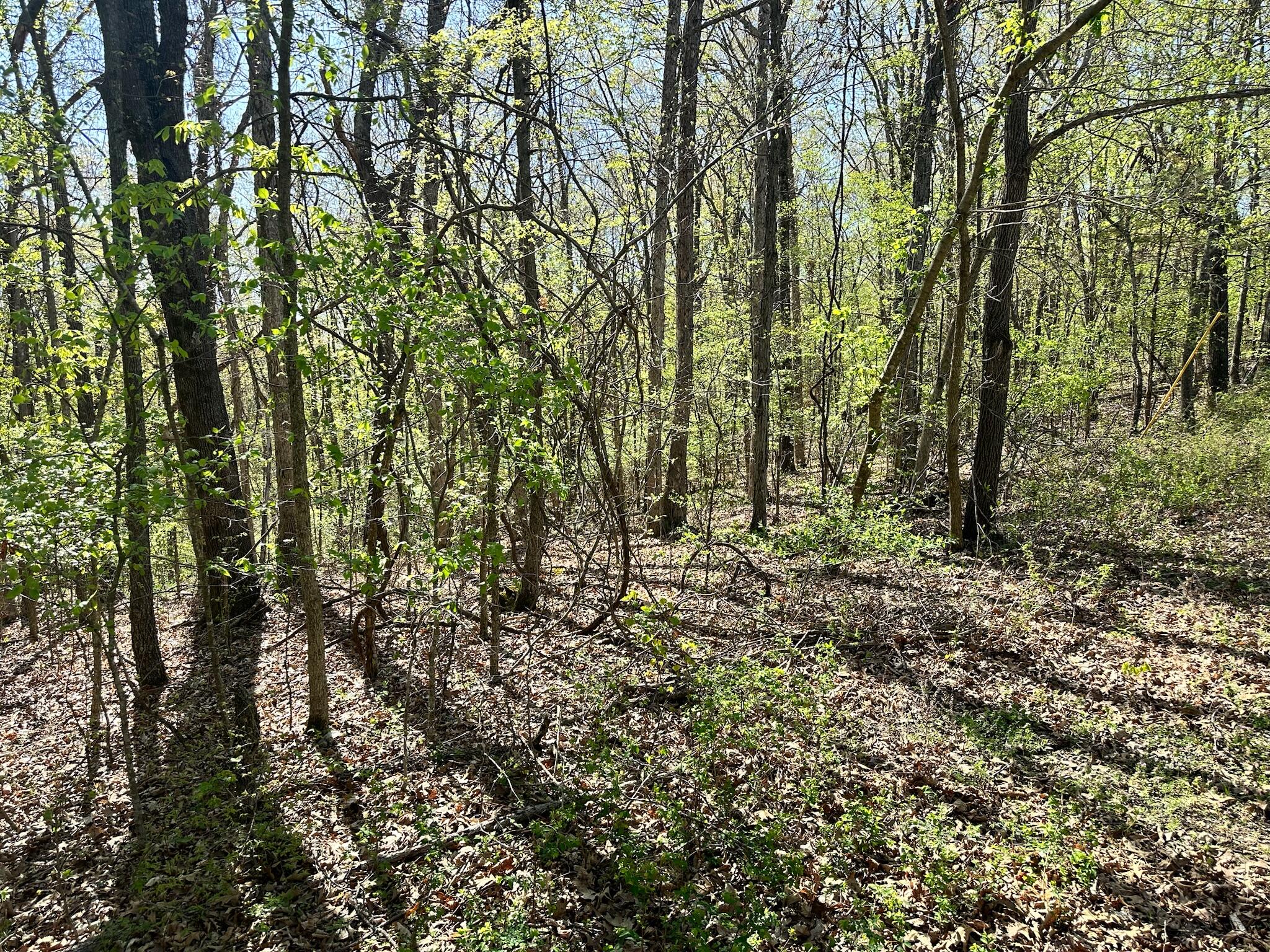 Photo 9 - Land for sale – L42a & 43a  Eaglecrest Road  Cape Fair, MO