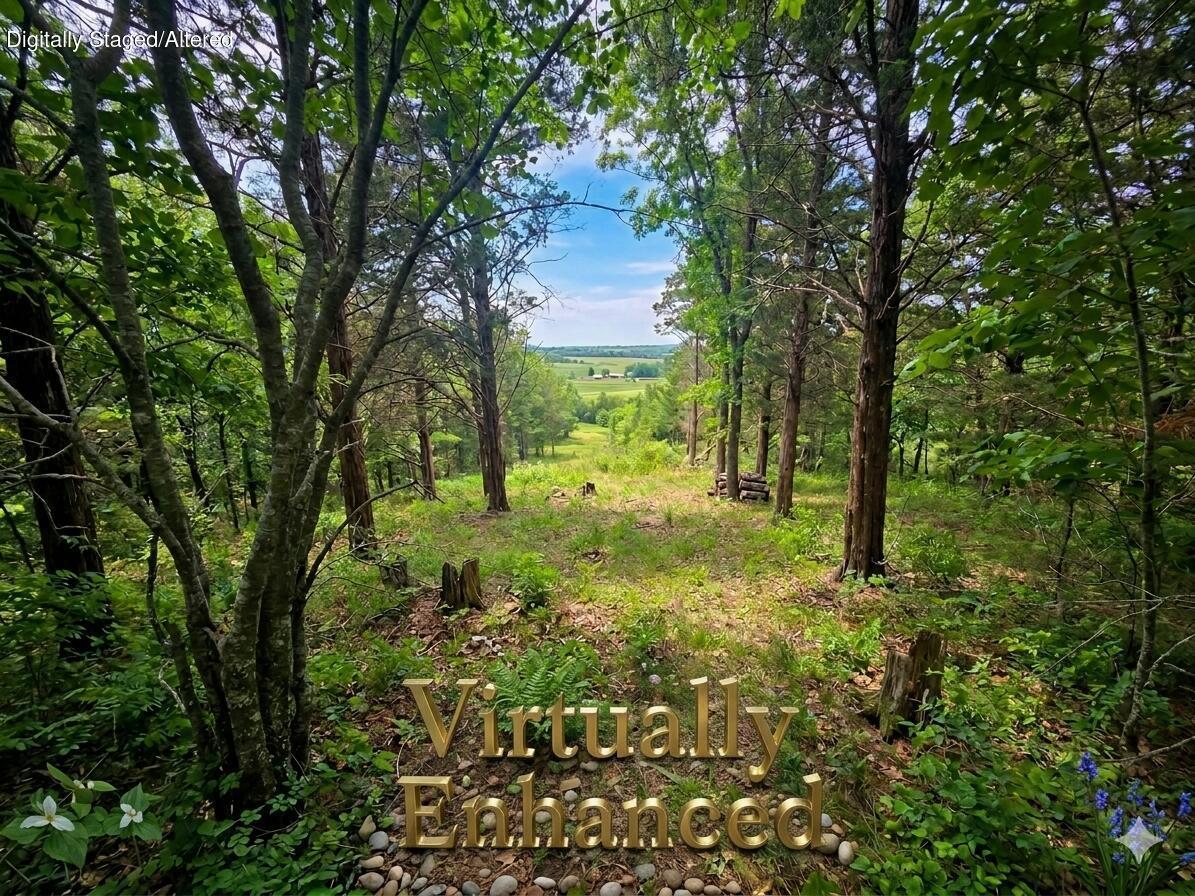 Photo 3 - Land for sale – 178  Black Forest Lane  Reeds Spring, MO