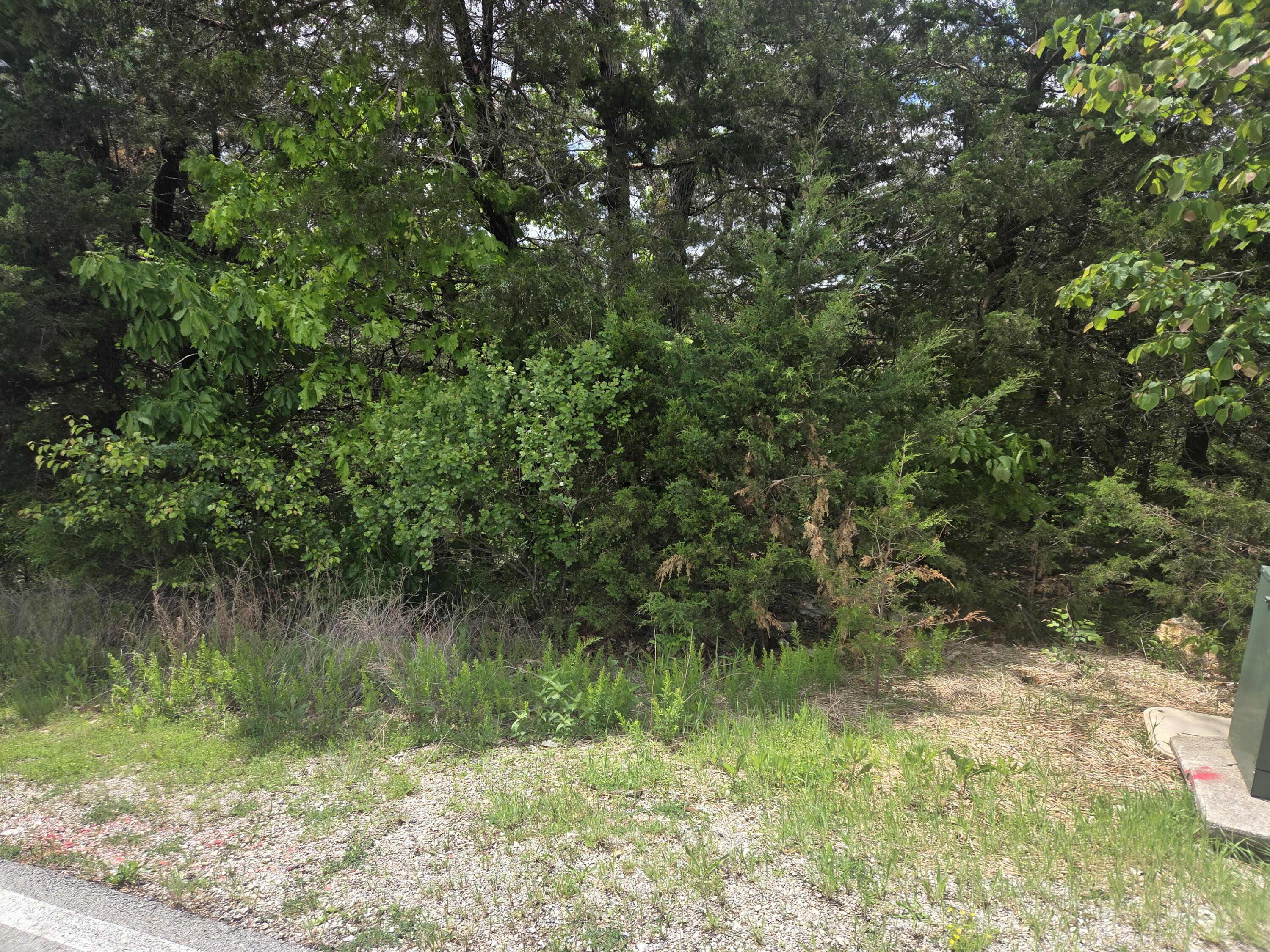 Photo 2 - Land for sale – 178  Black Forest Lane  Reeds Spring, MO