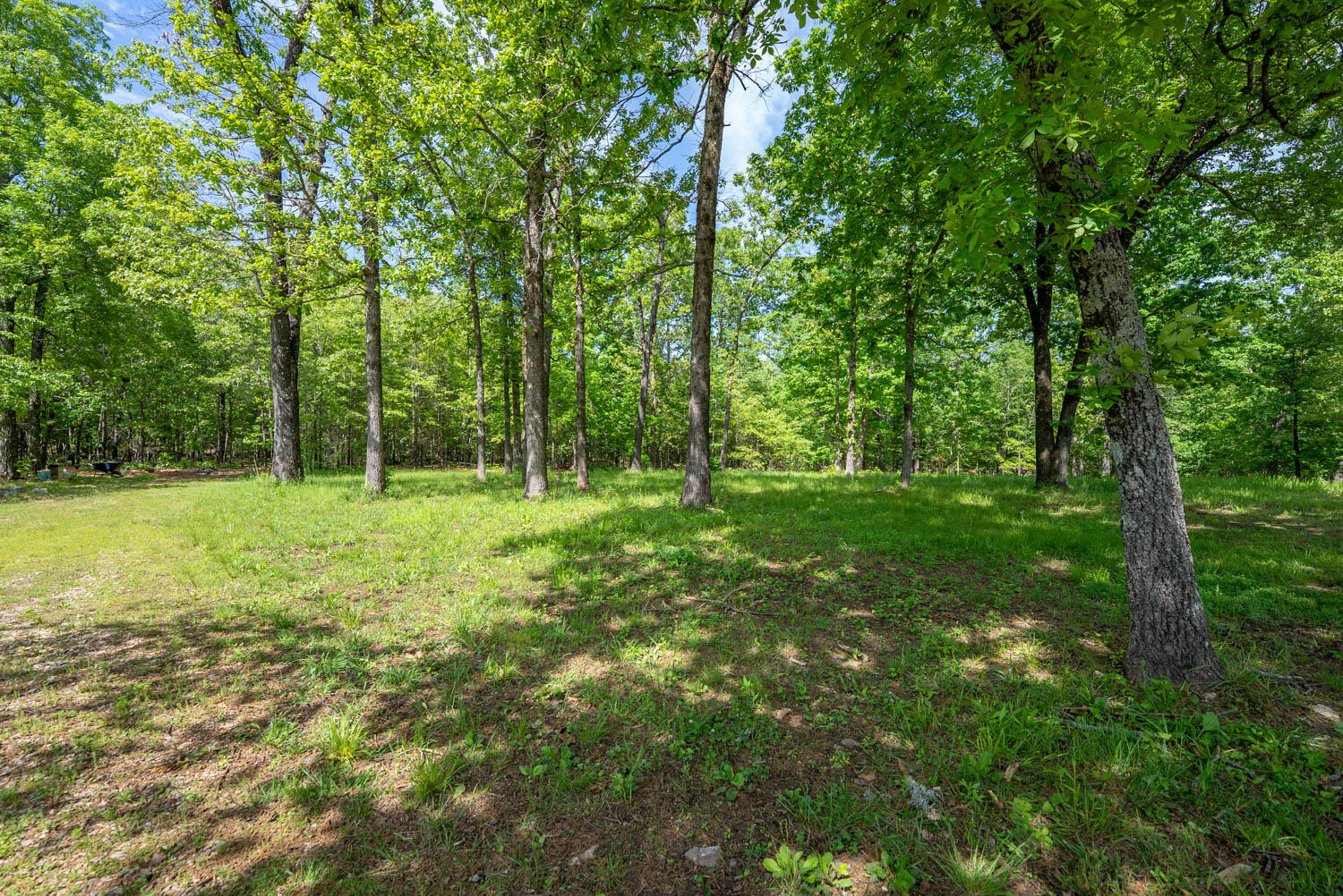Photo 46 - Residential for sale – 3991  State Highway W   Thayer, MO