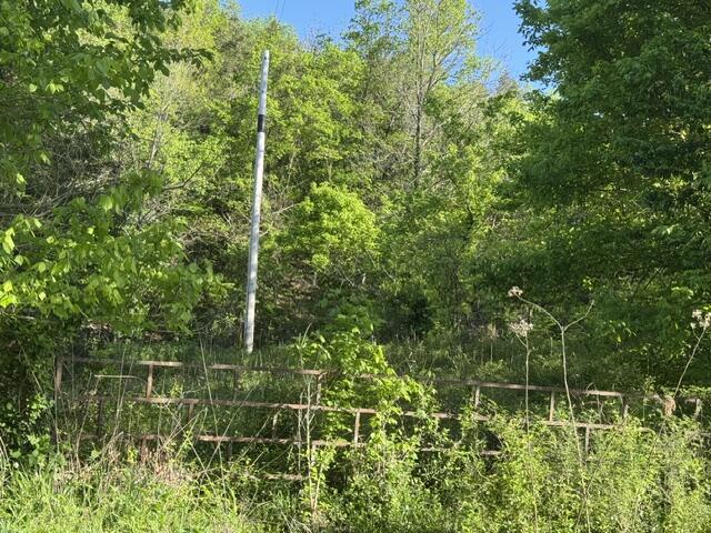Land for sale – 000  Farm Road 2285   Seligman, MO