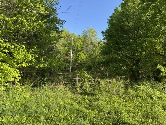 Photo 2 - Land for sale – 000  Farm Road 2285   Seligman, MO