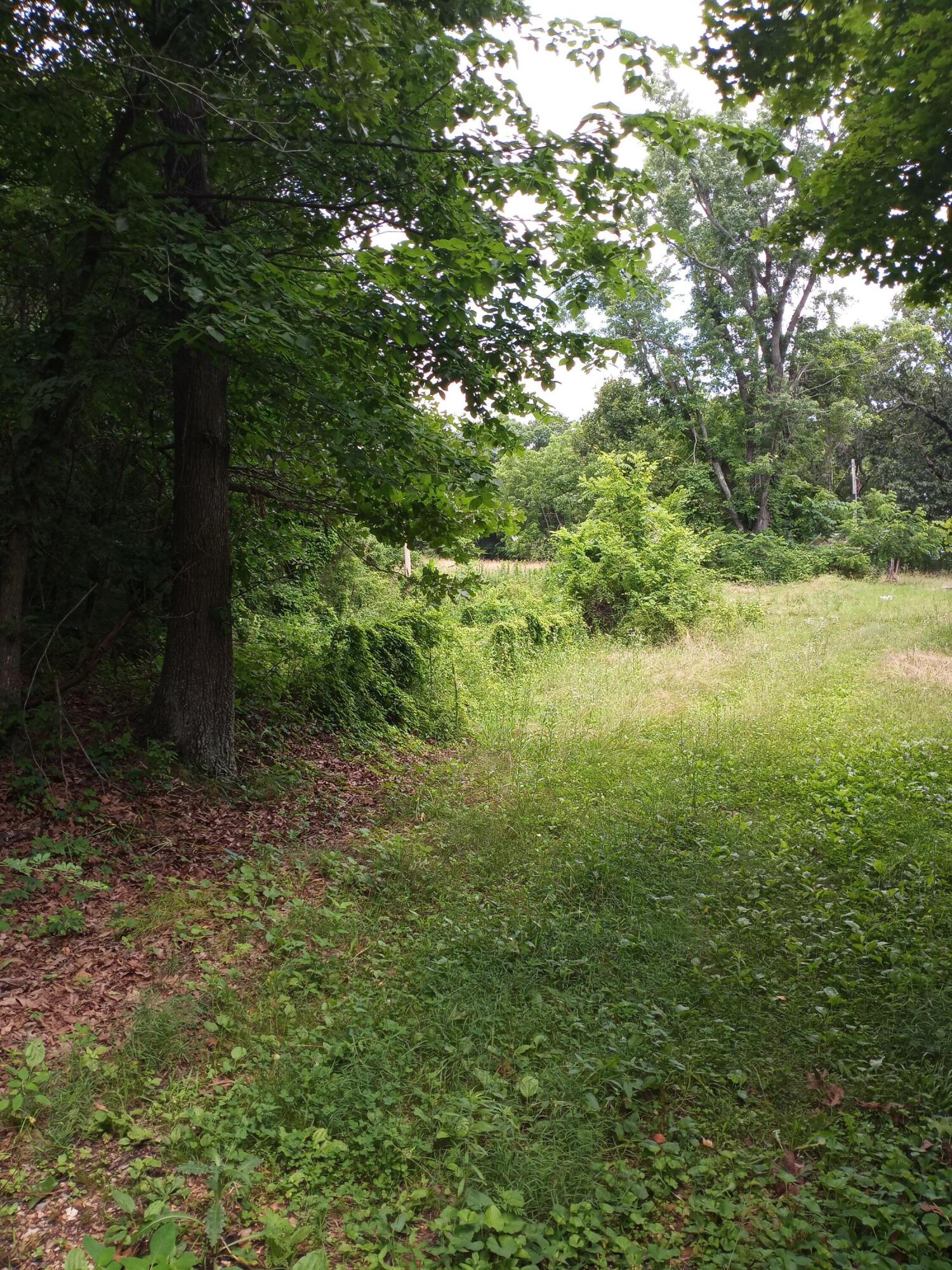 Land for sale – 15734  Farm Road 2140   Cassville, MO