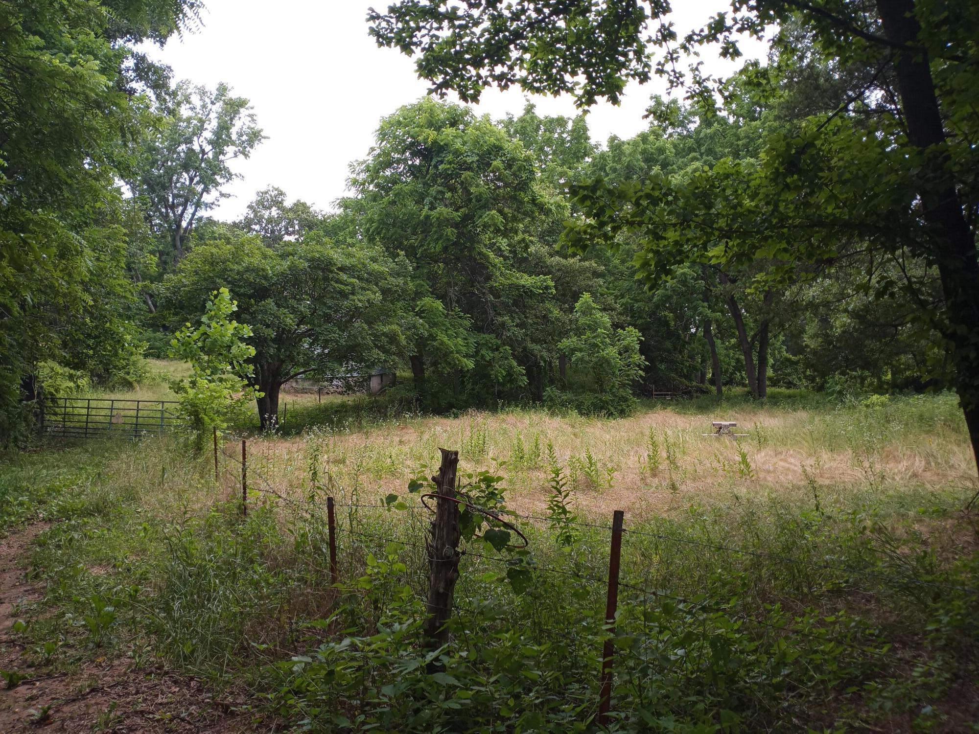 Photo 8 - Land for sale – 15734  Farm Road 2140   Cassville, MO