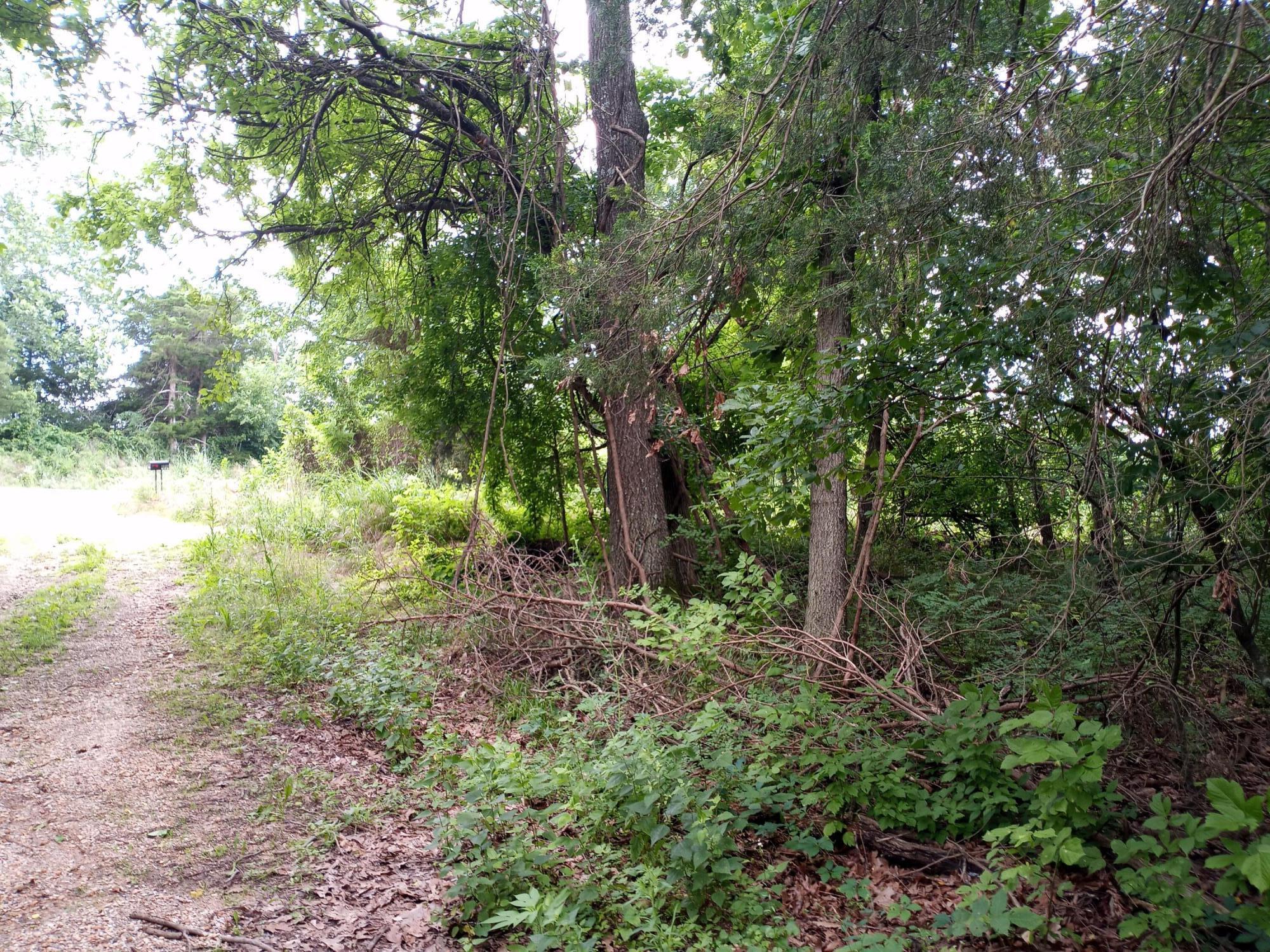 Photo 9 - Land for sale – 15734  Farm Road 2140   Cassville, MO