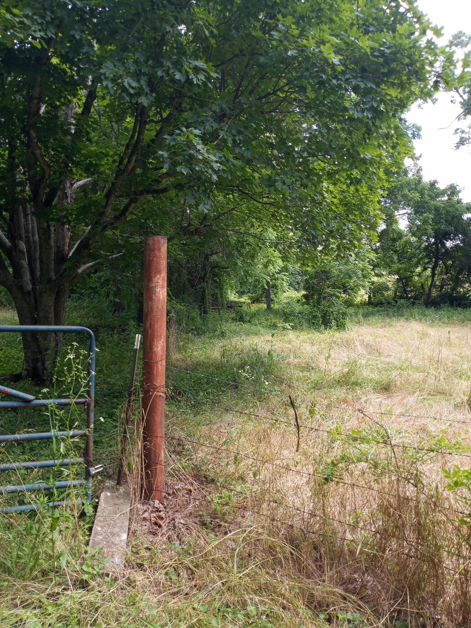 Photo 4 - Land for sale – 15734  Farm Road 2140   Cassville, MO