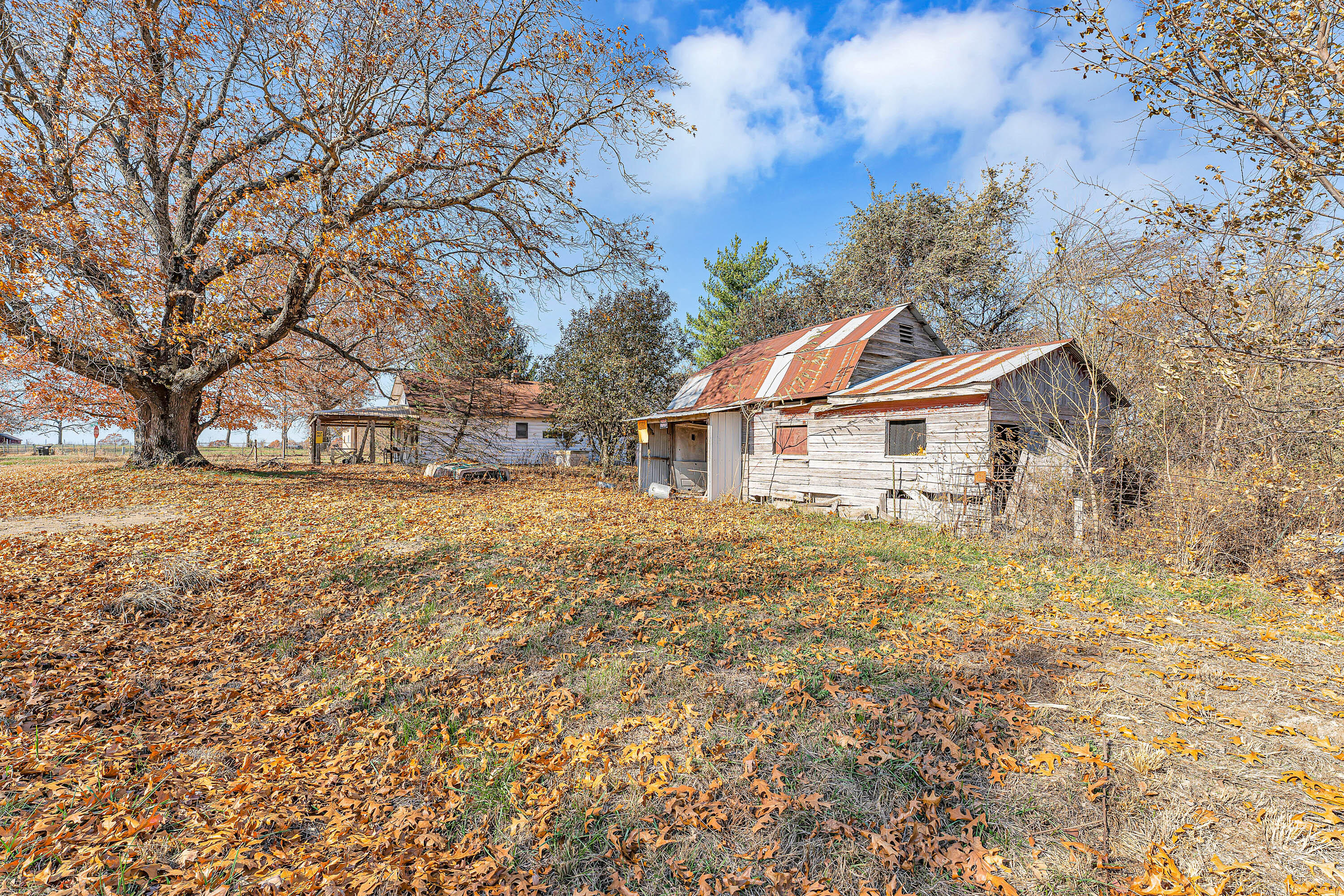 Photo 6 - Residential for sale – 7800  St George Road  Hartville, MO