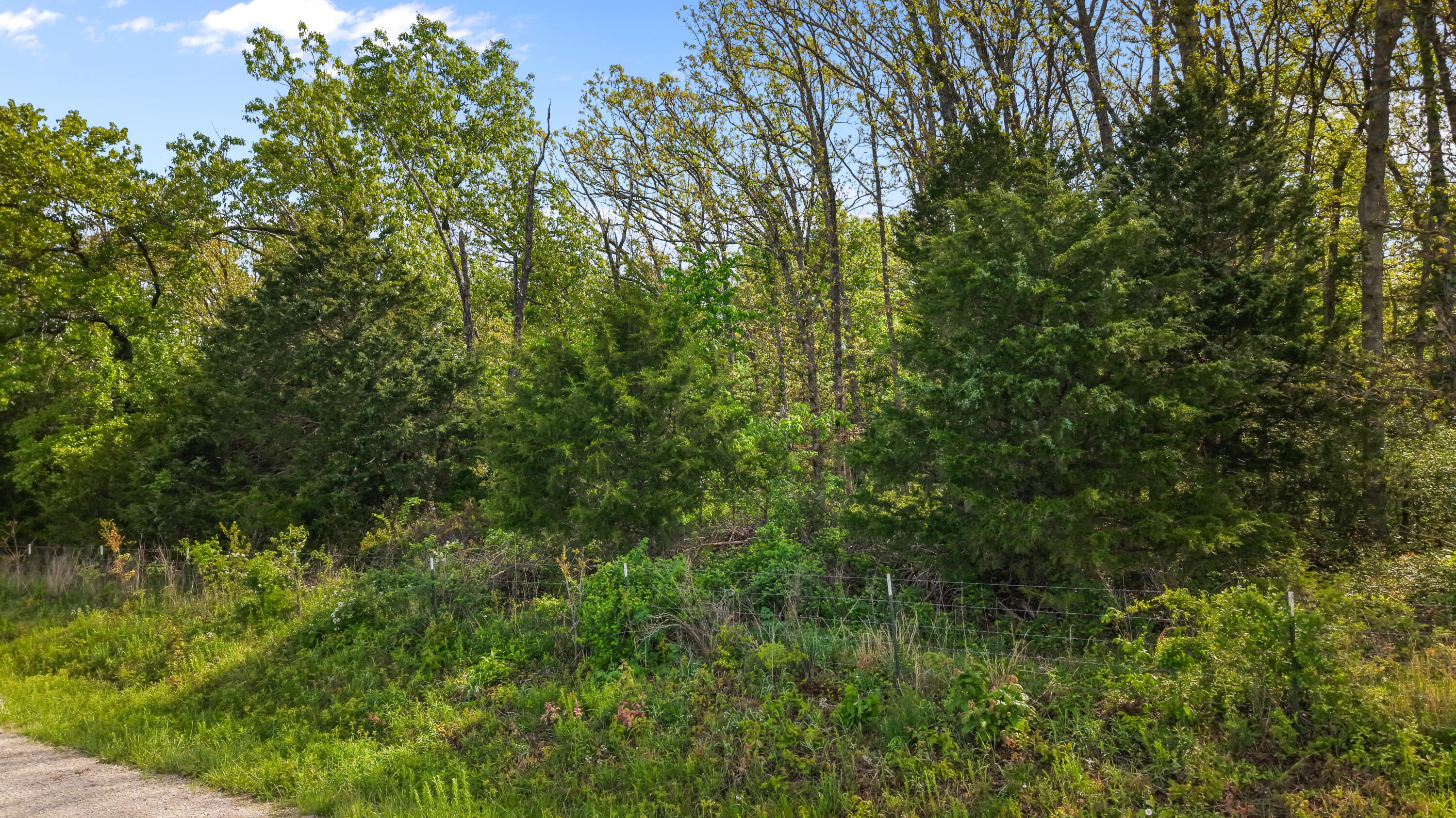 Photo 3 - Land for sale – 000  Country Trails Road  Conway, MO
