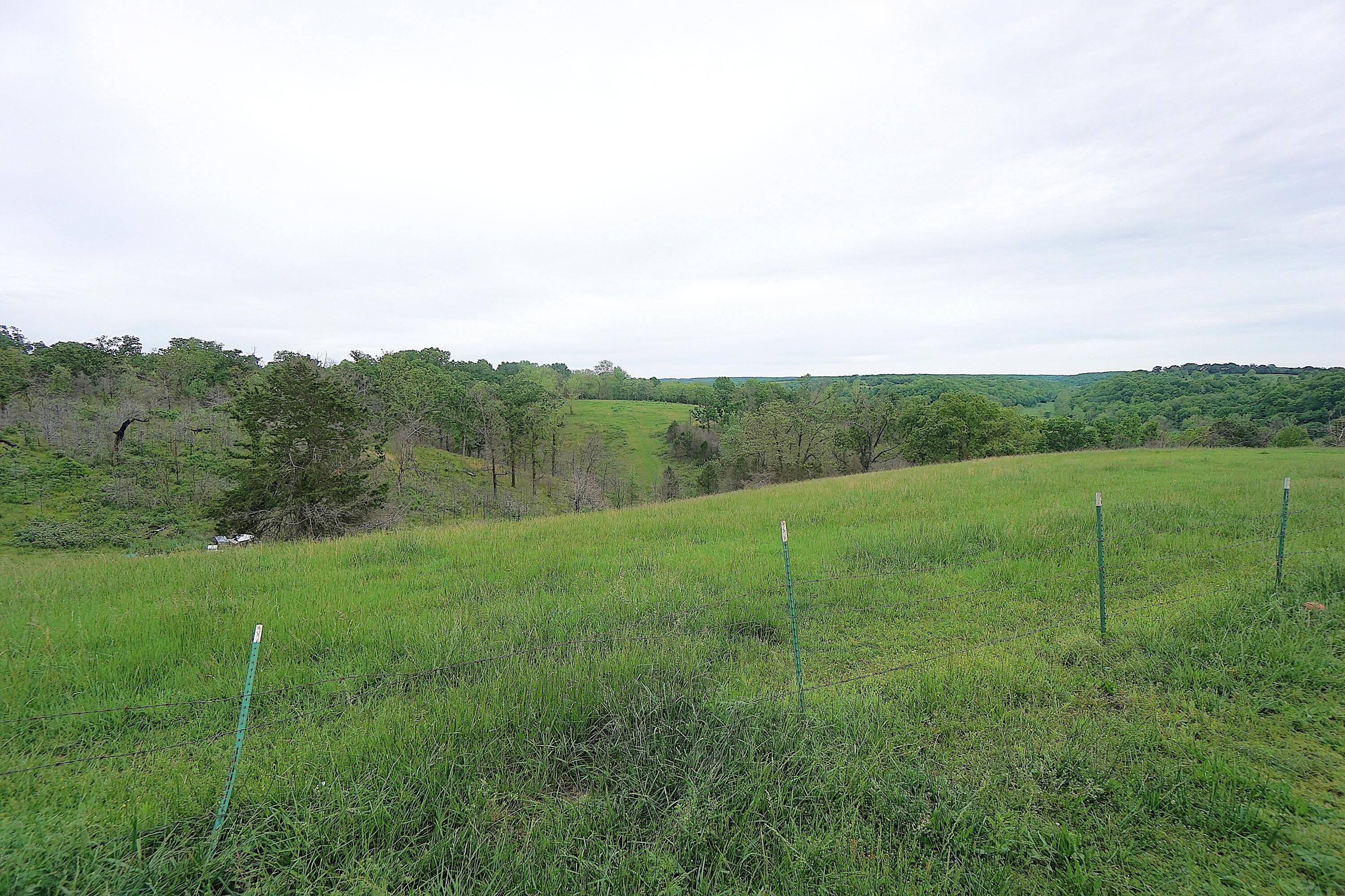 Photo 6 - Farm for sale – 15309 E Hwy 90   Washburn, MO
