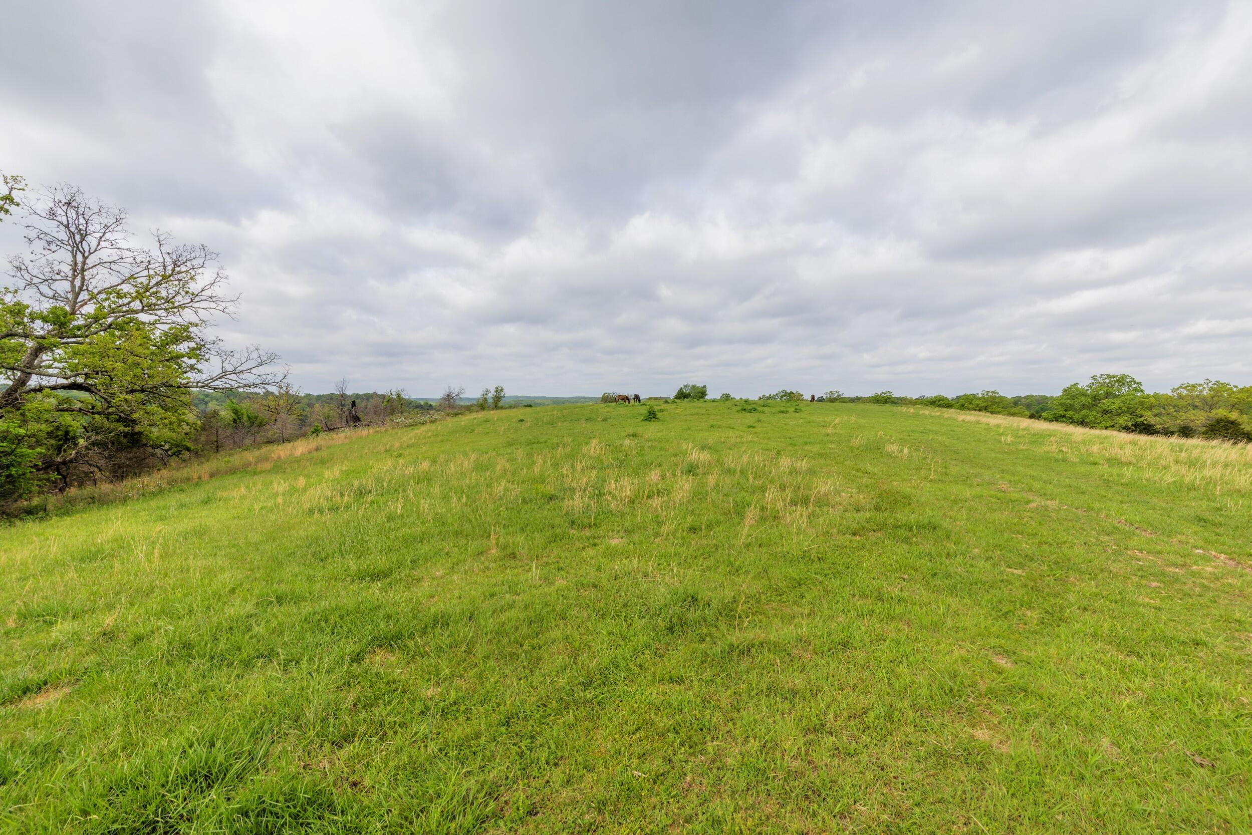 Photo 13 - Farm for sale – 15309 E Hwy 90   Washburn, MO