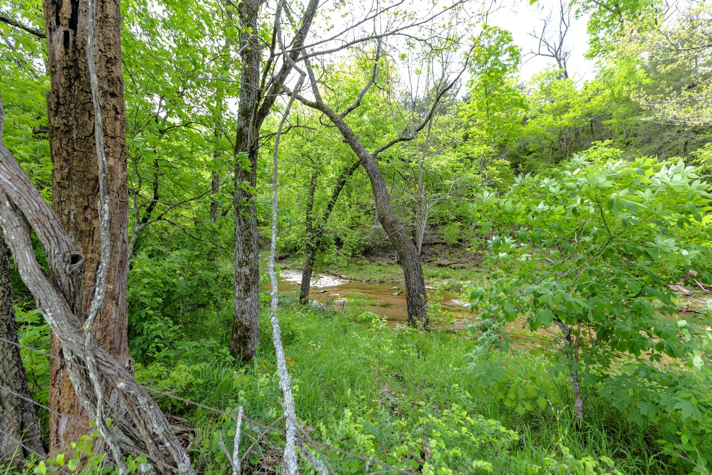 Photo 47 - Farm for sale – 15309 E Hwy 90   Washburn, MO