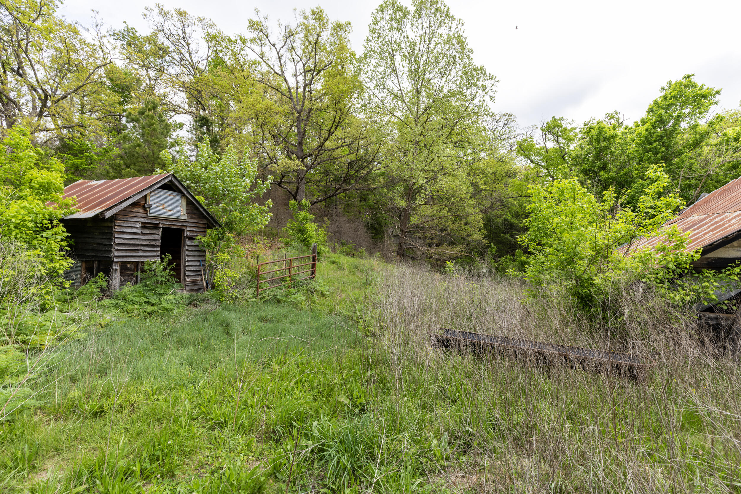 Photo 38 - Farm for sale – 15309 E Hwy 90   Washburn, MO
