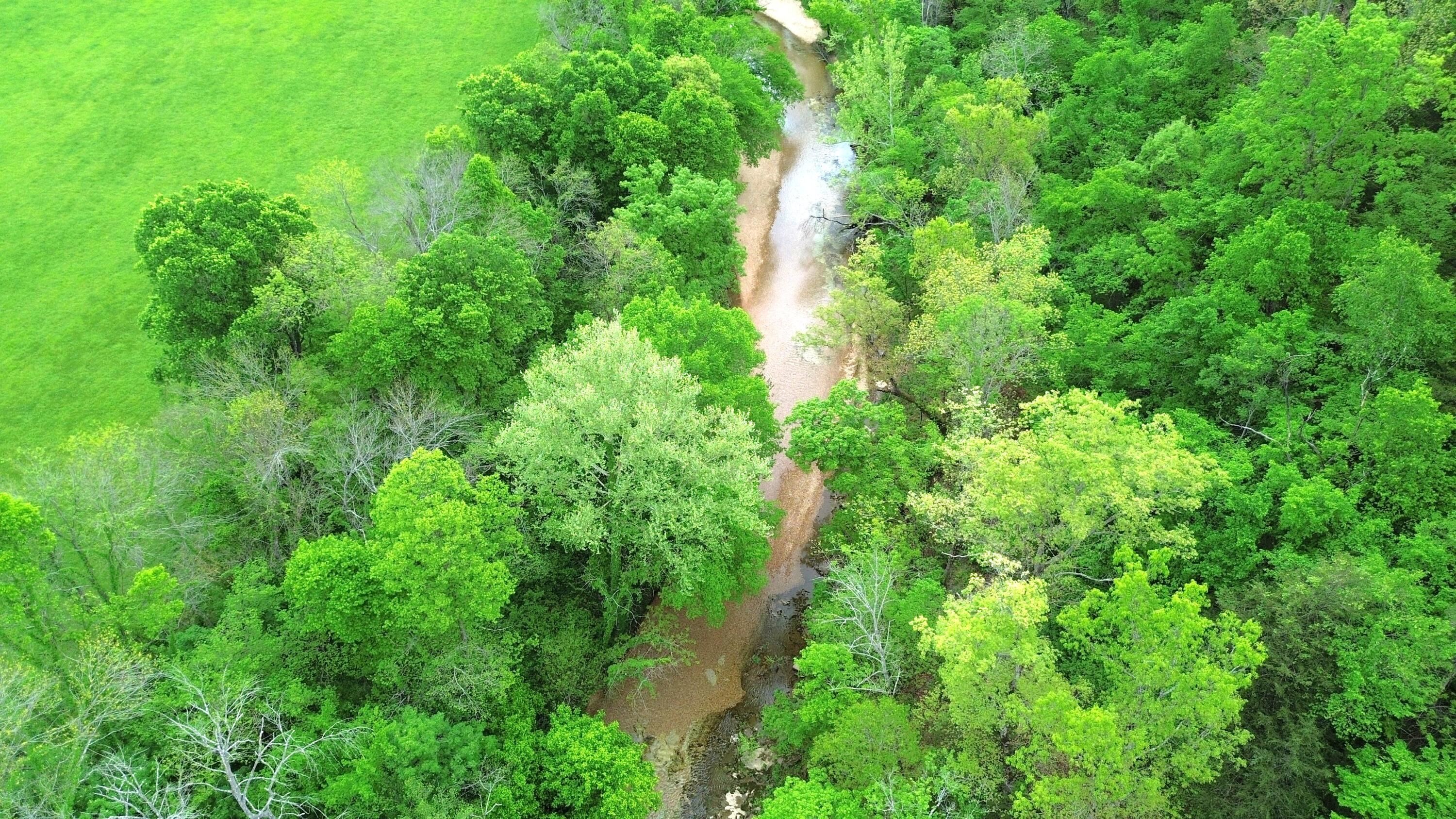Photo 50 - Farm for sale – 15309 E Hwy 90   Washburn, MO
