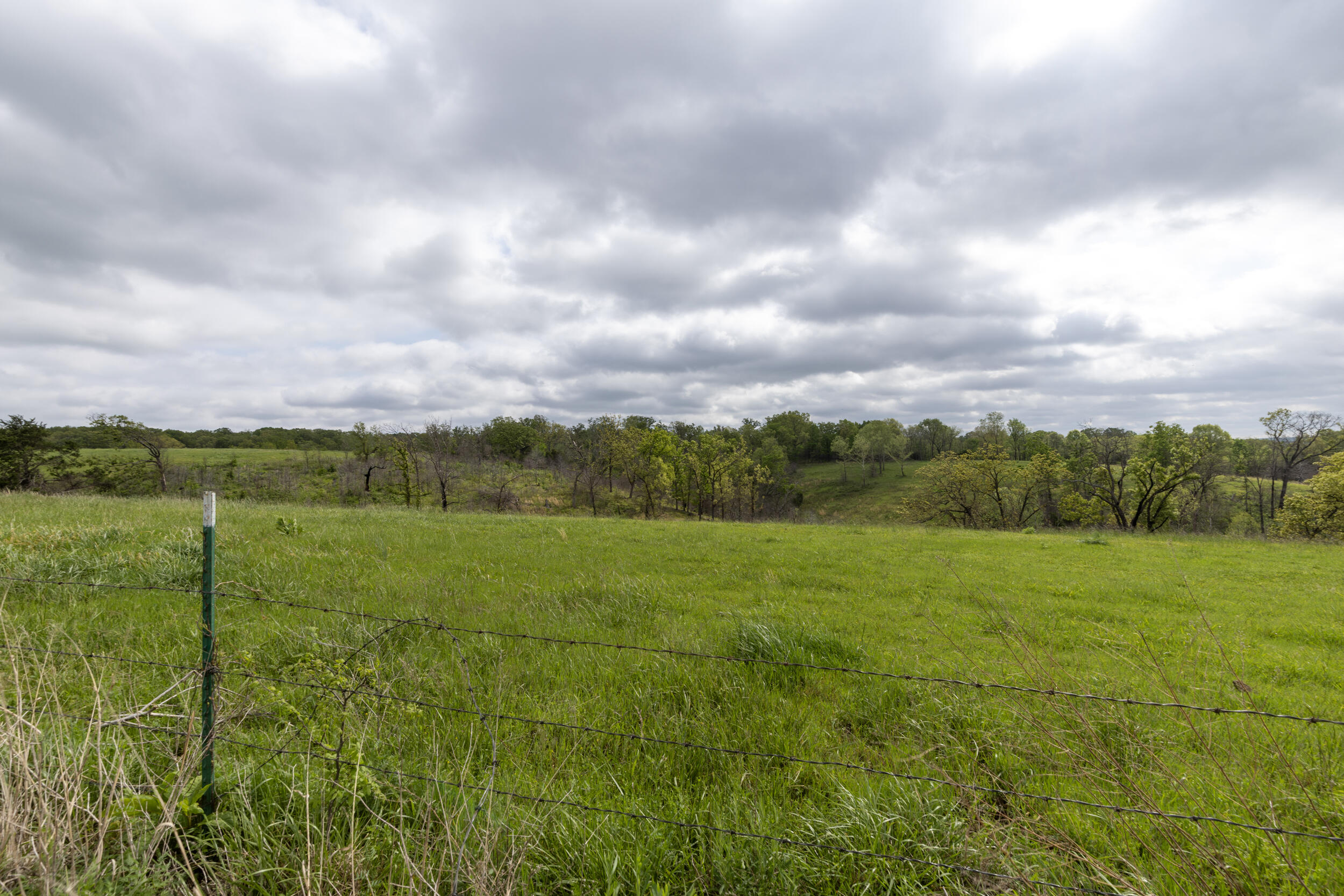 Photo 18 - Farm for sale – 15309 E Hwy 90   Washburn, MO