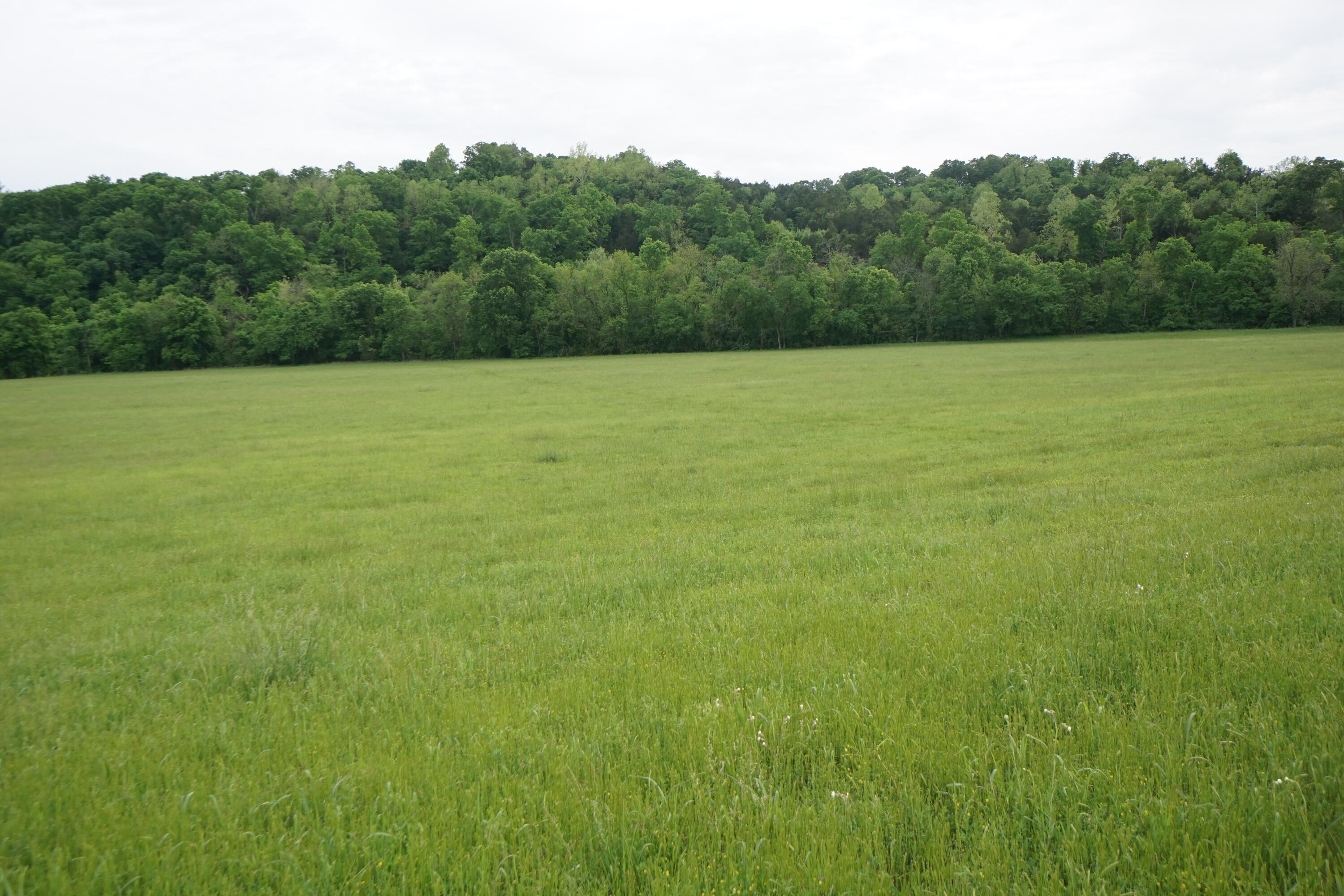 Photo 56 - Farm for sale – 15309 E Hwy 90   Washburn, MO