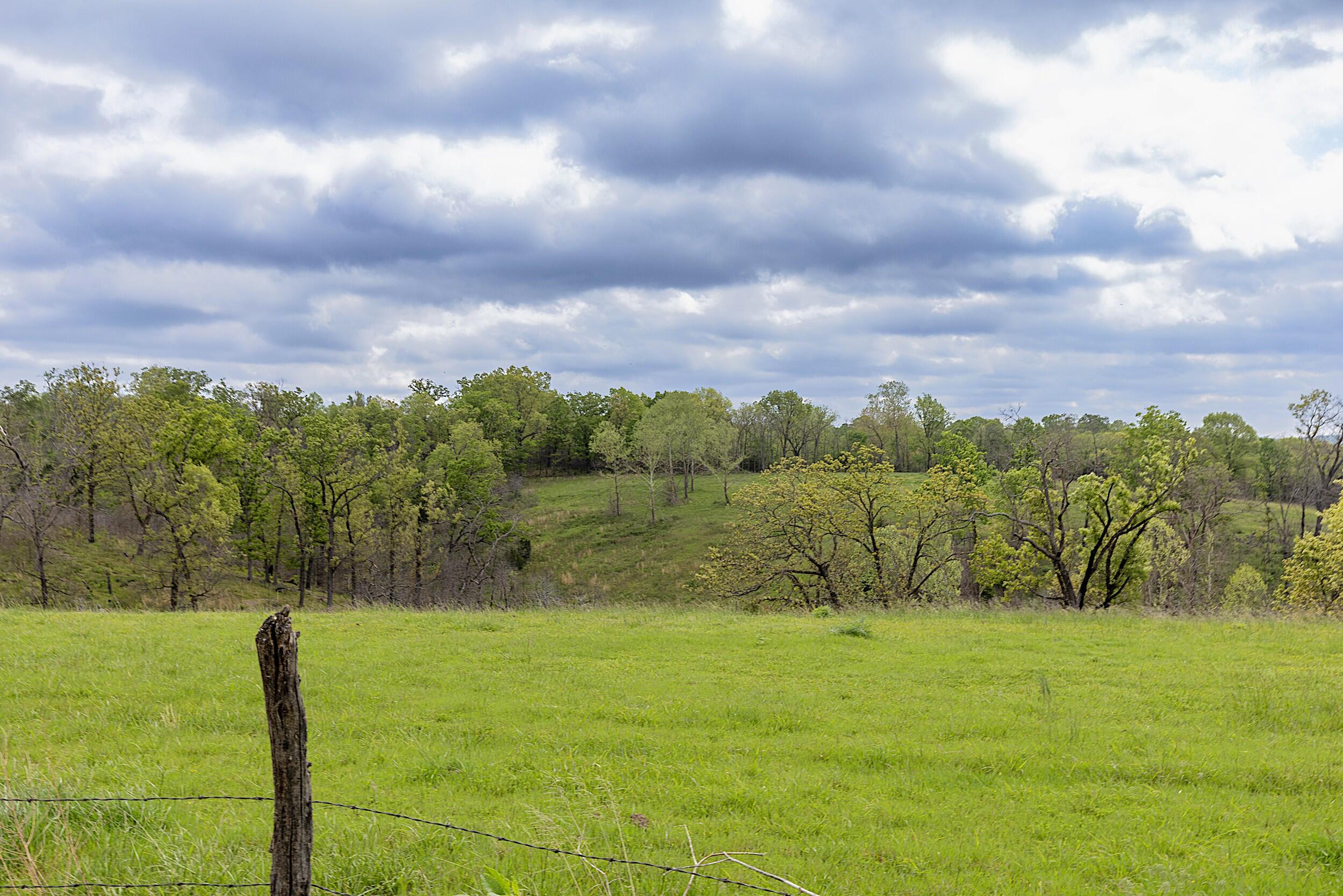 Photo 17 - Farm for sale – 15309 E Hwy 90   Washburn, MO