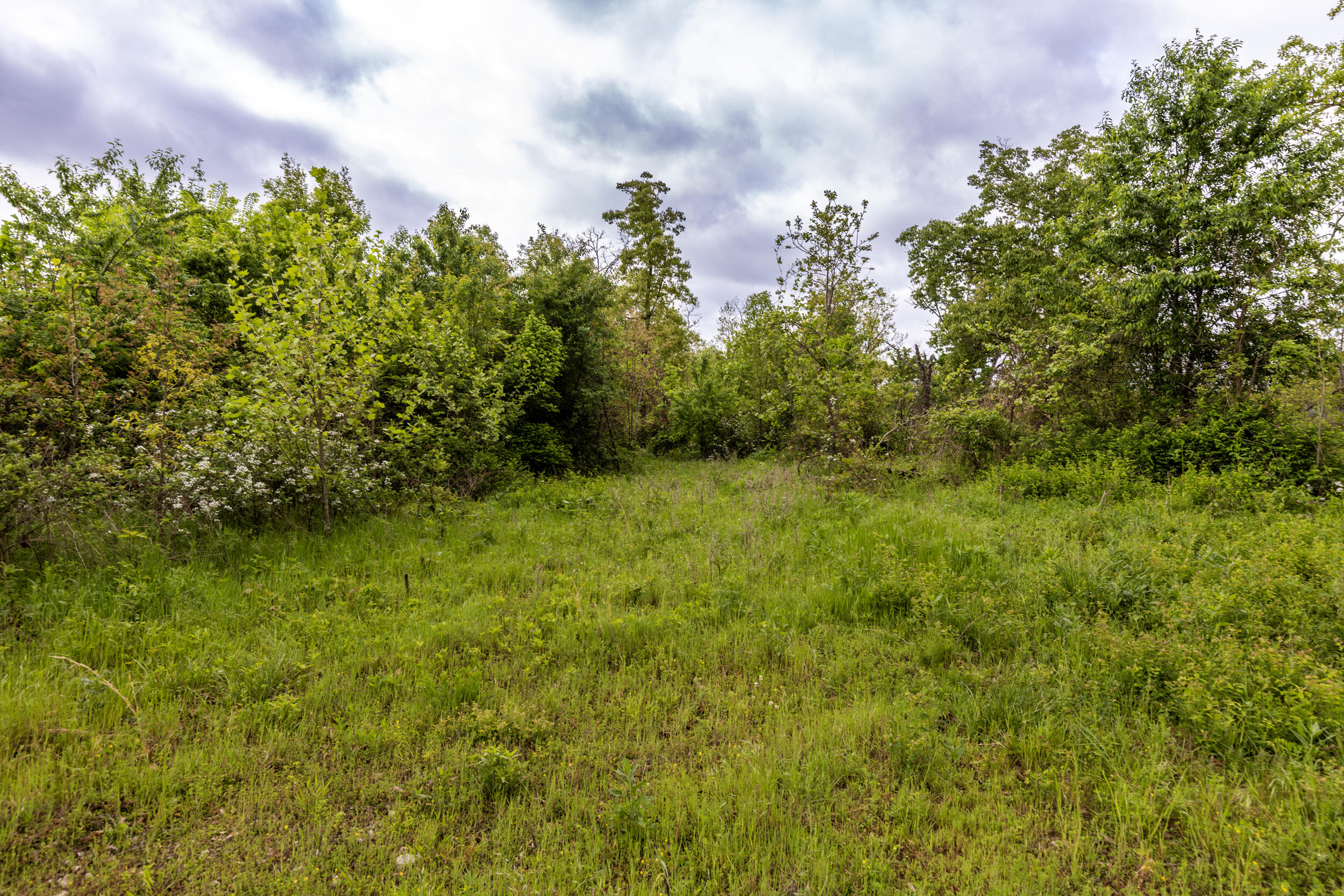 Photo 26 - Farm for sale – 15309 E Hwy 90   Washburn, MO