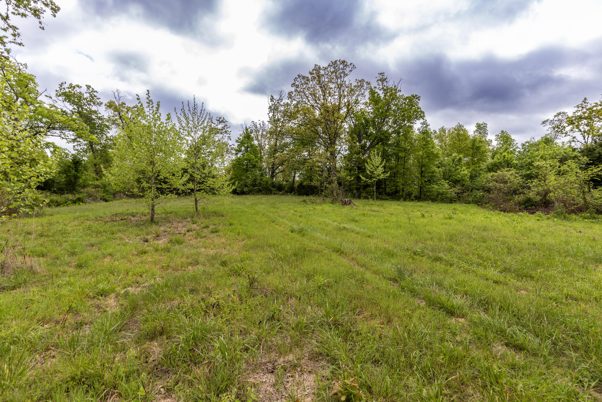 Photo 27 - Farm for sale – 15309 E Hwy 90   Washburn, MO