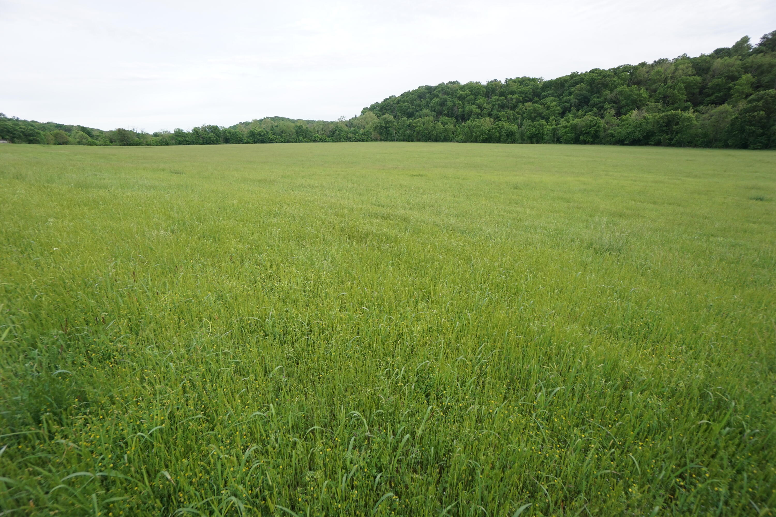 Photo 54 - Farm for sale – 15309 E Hwy 90   Washburn, MO