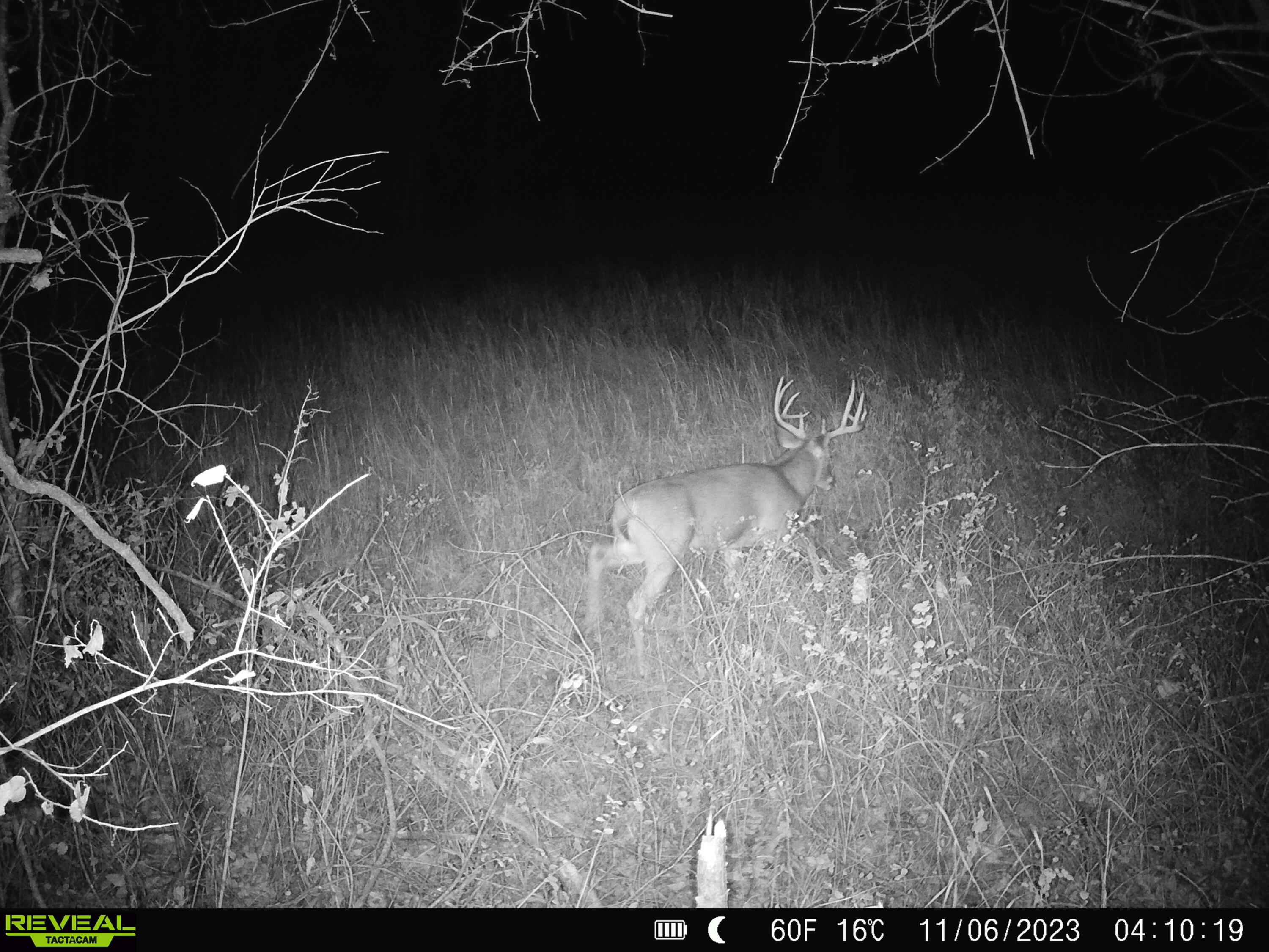 Photo 19 - Land for sale – 001 S 52nd Road  Dunnegan, MO