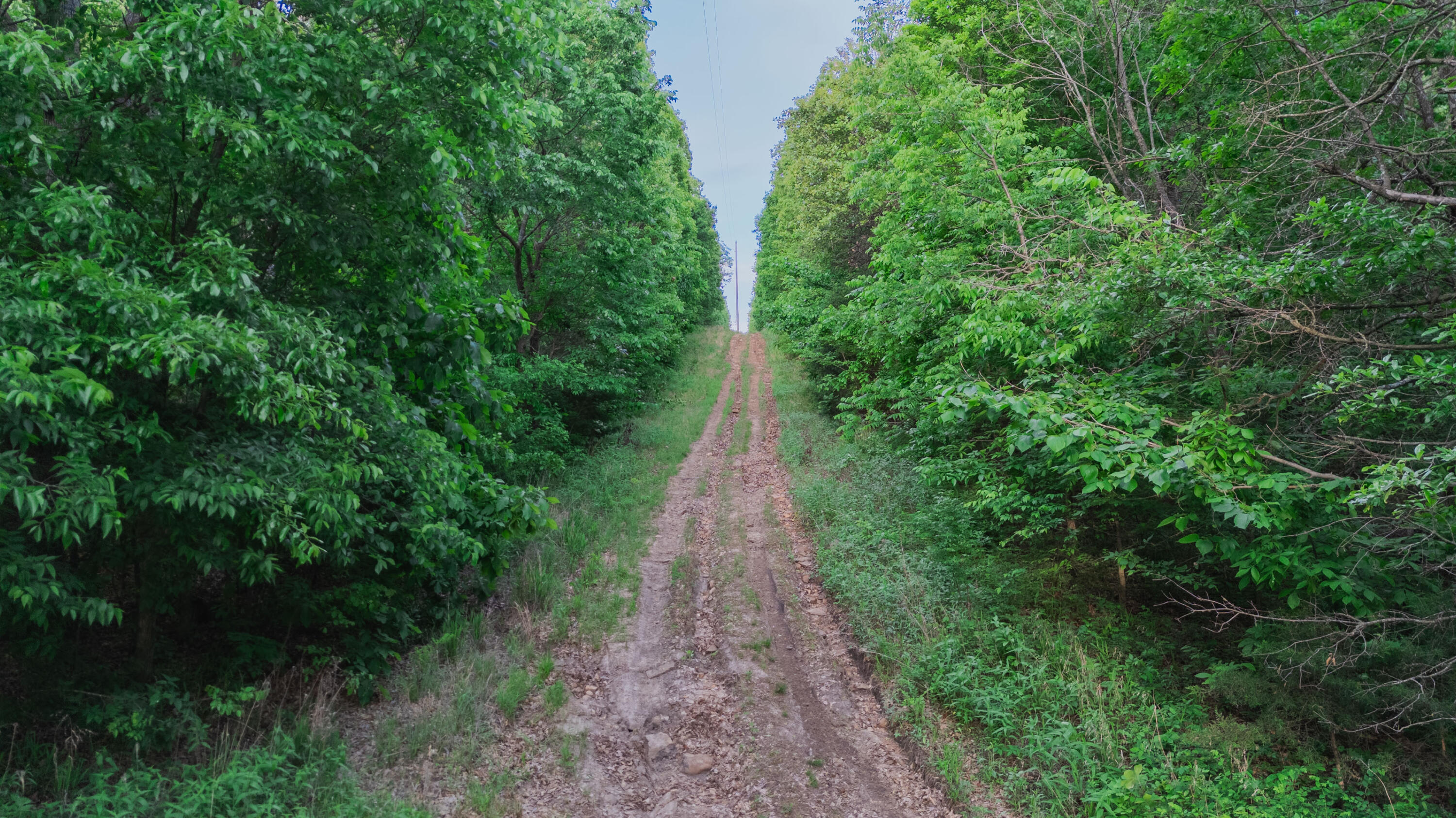Photo 3 - Land for sale – 001 S 52nd Road  Dunnegan, MO