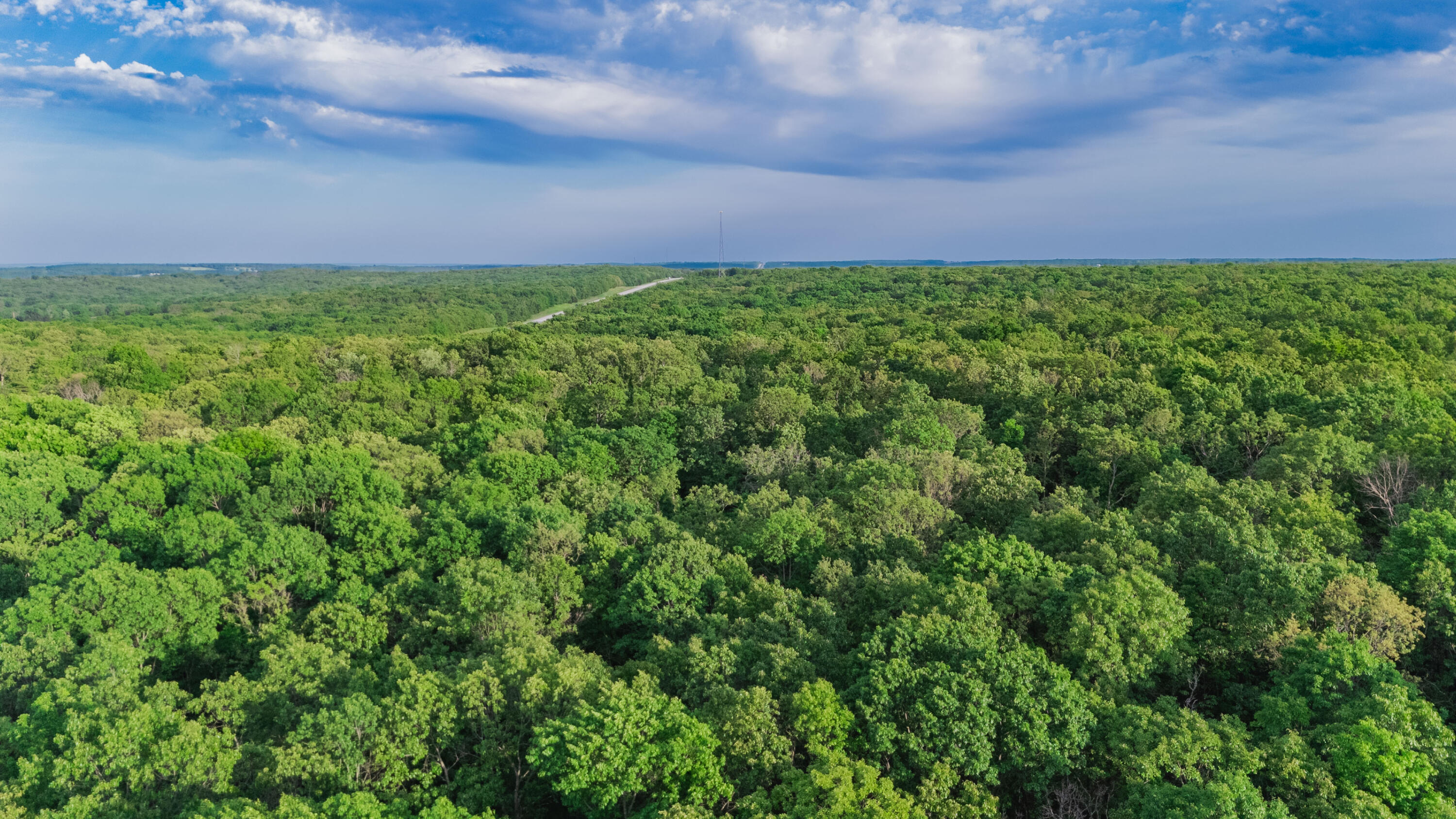 Photo 11 - Land for sale – 001 S 52nd Road  Dunnegan, MO