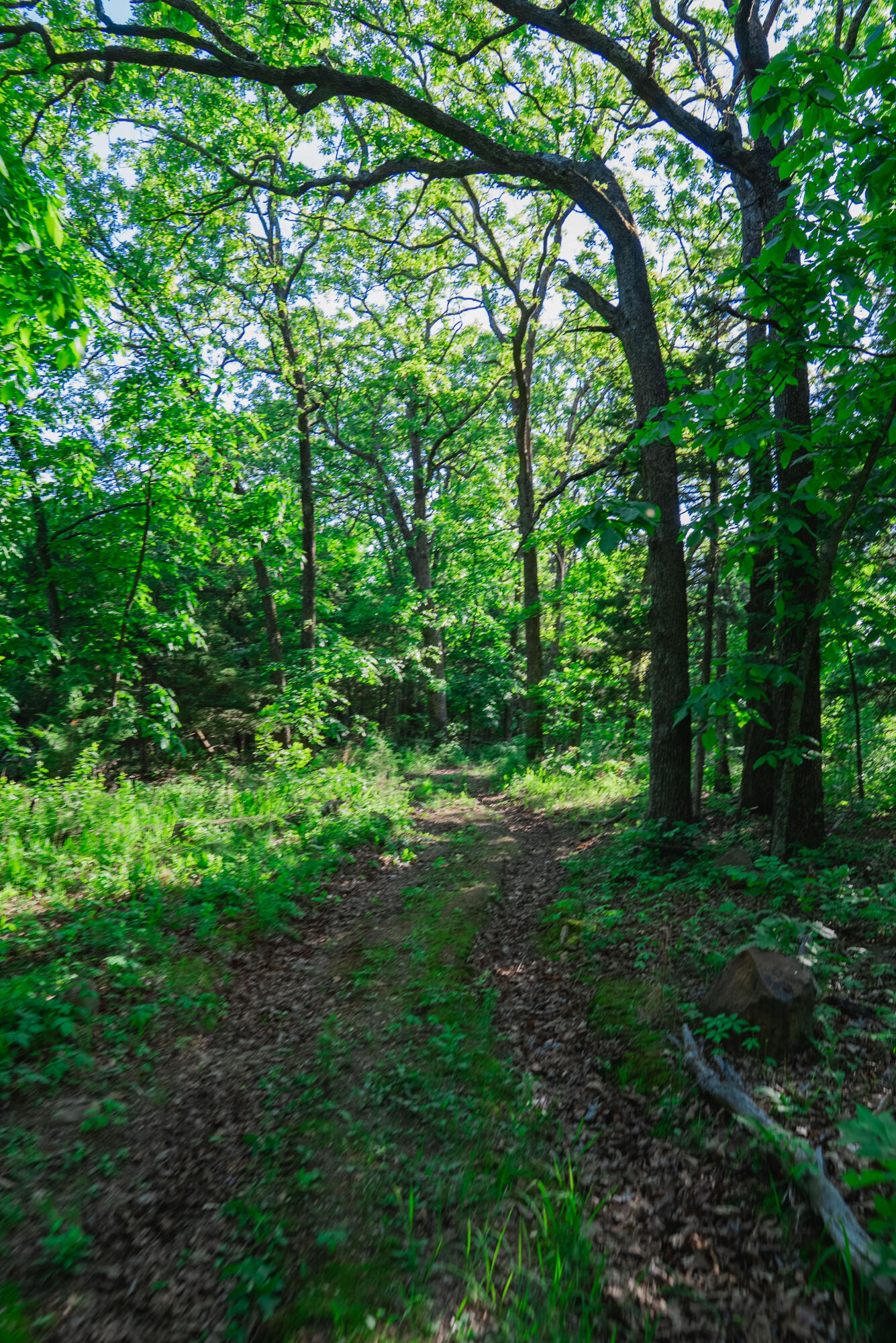 Photo 9 - Land for sale – 001 S 52nd Road  Dunnegan, MO