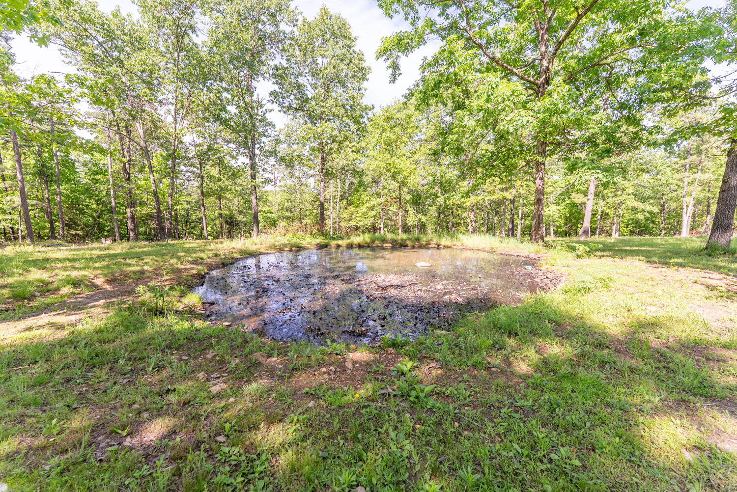 Photo 42 - Residential Income for sale – 1163-1071  Fee Hollow Terrace  Yellville, AR