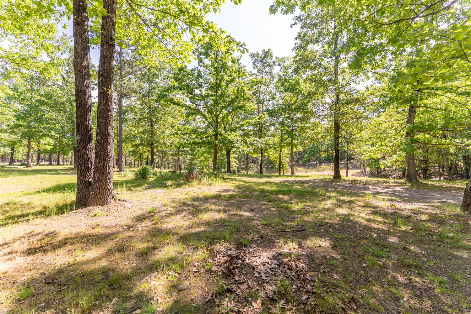 Photo 36 - Residential Income for sale – 1163-1071  Fee Hollow Terrace  Yellville, AR